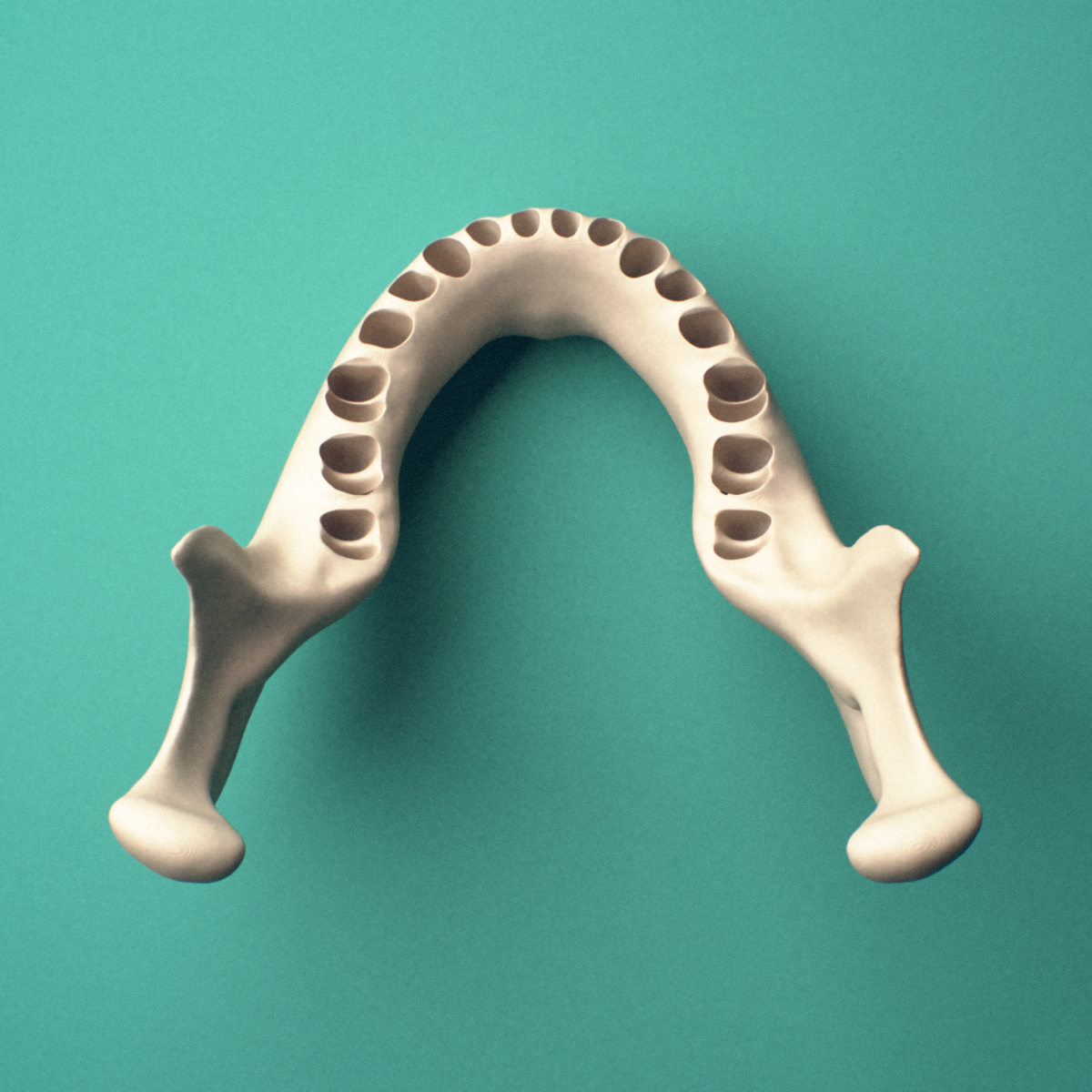 3D-printed Mandible (lower jaw bone), oblique view showing the overall shape.