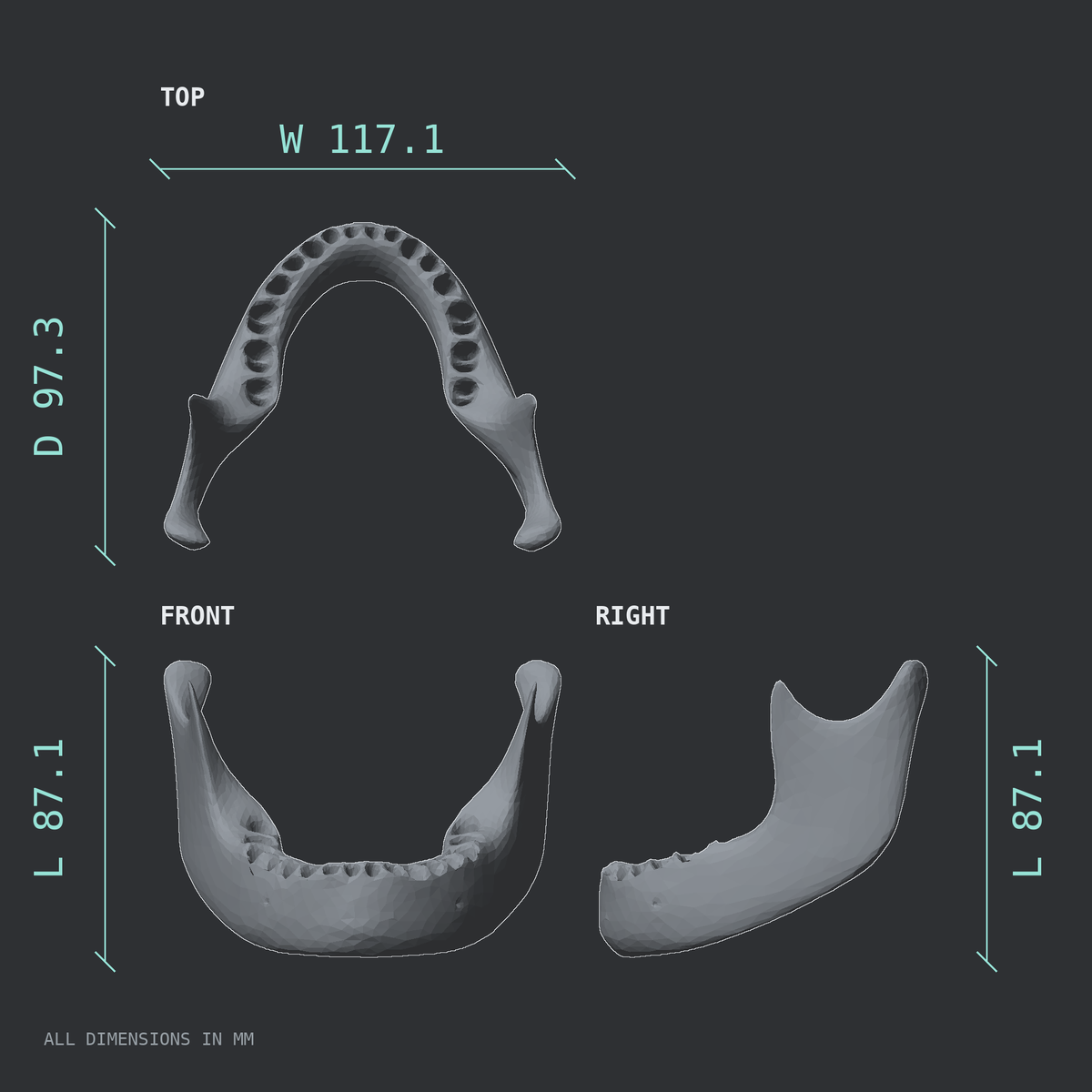 3D rendered dimensional drawing of the Mandible (lower jaw bone), top, front, and side views.