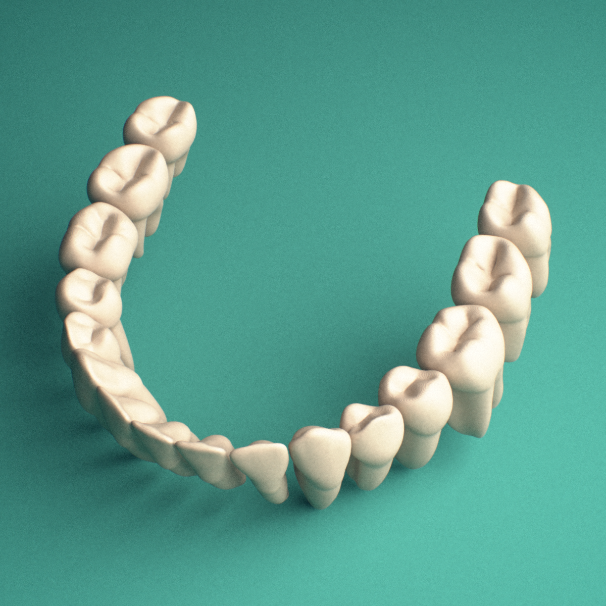 3D-printed Mandibular teeth (lower jaw), anterior view showing the dental arch.
