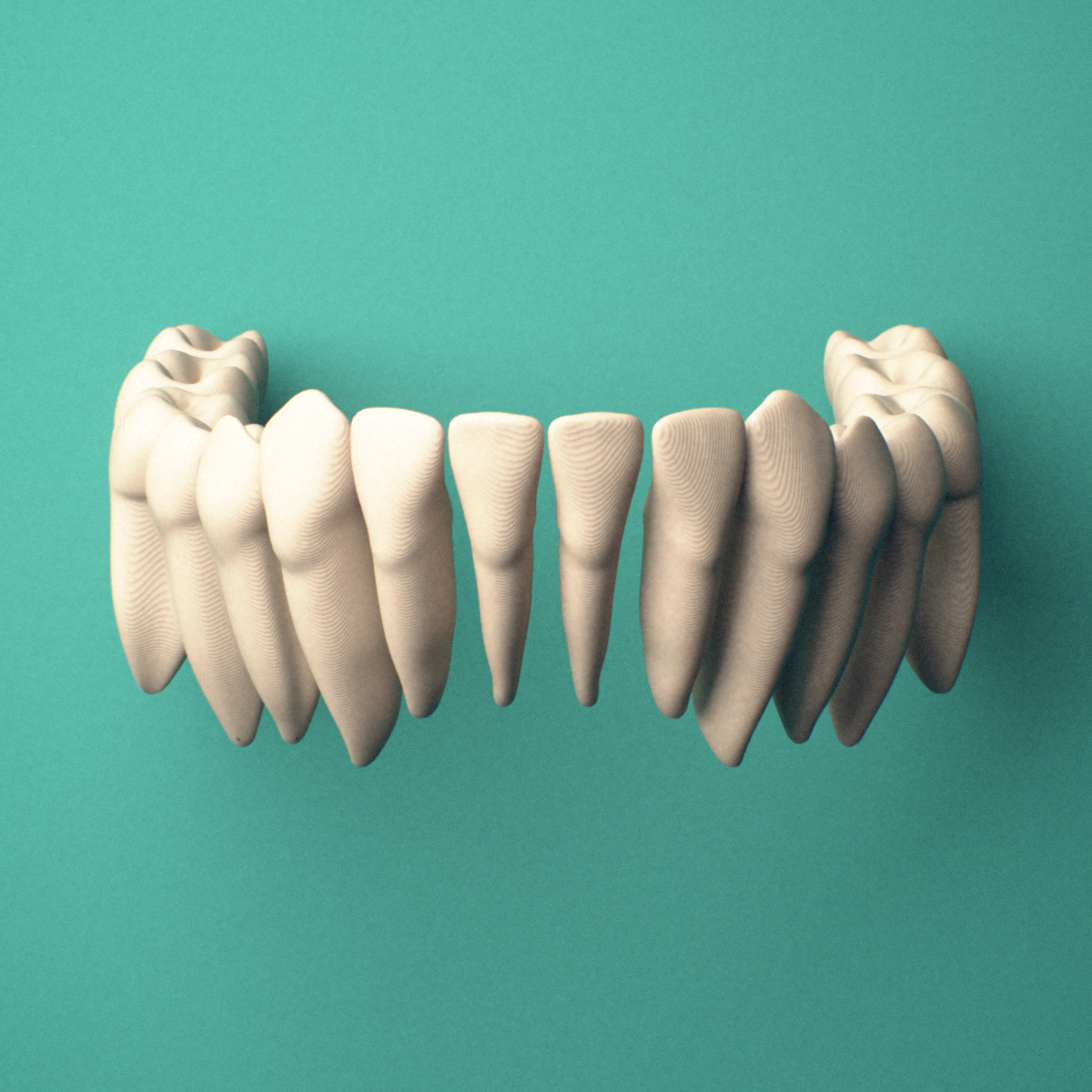 3D-printed Mandibular teeth (lower jaw), lateral oblique view showing the roots.