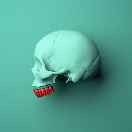 3D model of the Mandibular teeth (lower jaw) shown in position within a full skull model, left lateral view.
