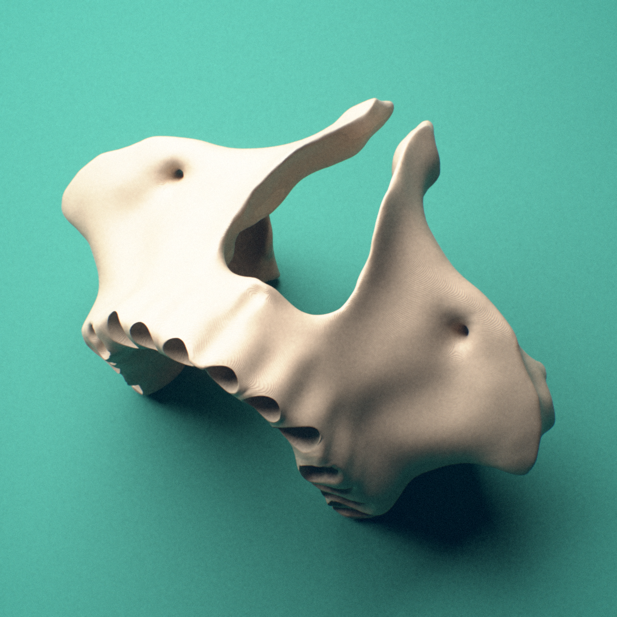 3D-printed Maxilla, fused, lateral view showing the nasal notch.