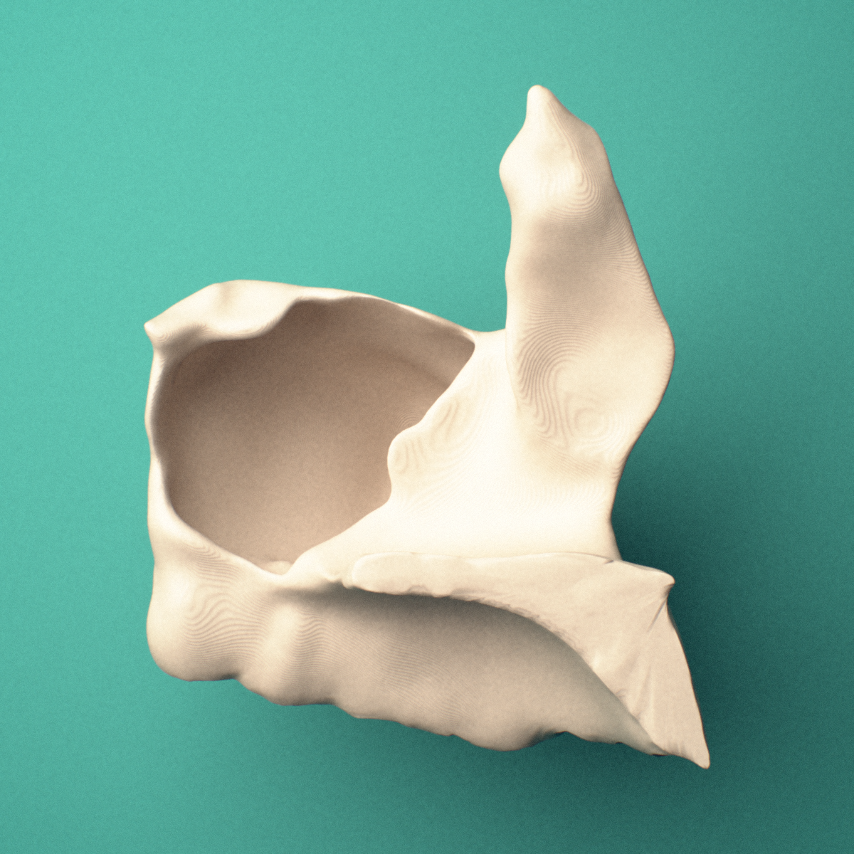 3D-printed Left maxilla, oblique close-up view showing the palatine process.