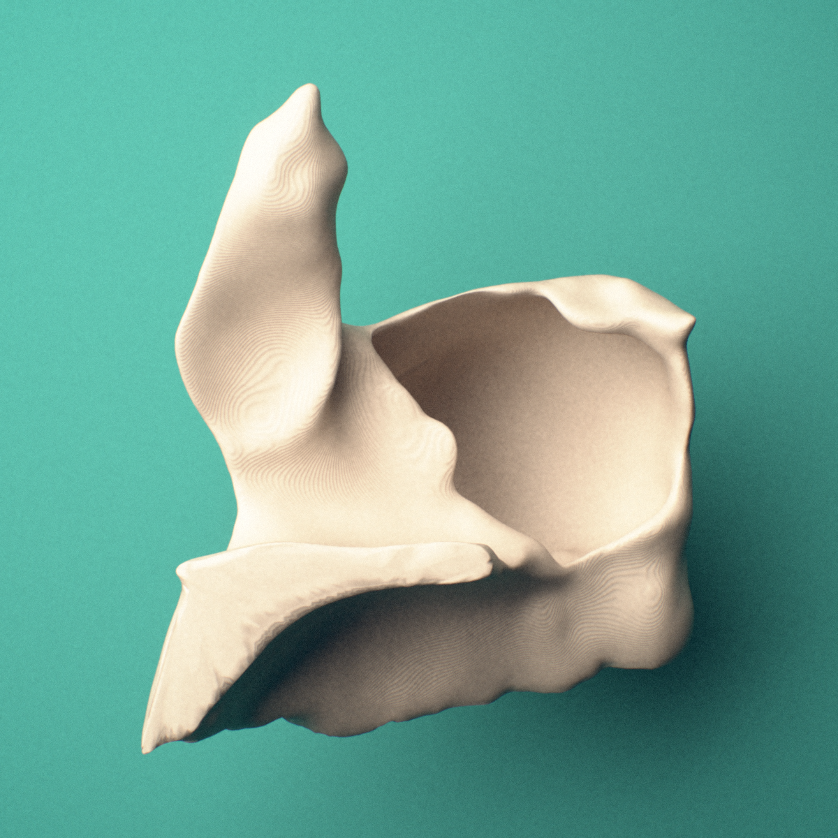 3D-printed Right maxilla, oblique close-up view showing the alveolar process.