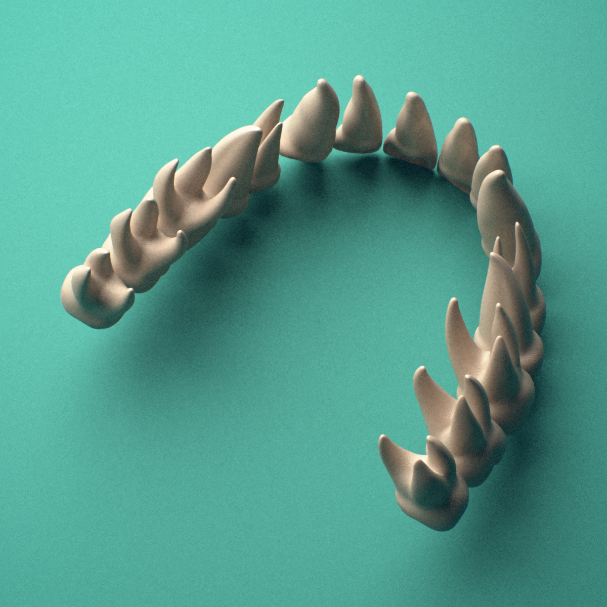 3D-printed Maxillary teeth (upper jaw), lateral view showing the roots.