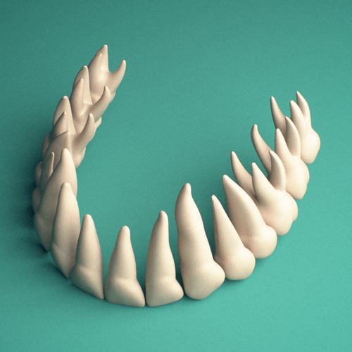 3D-printed Maxillary teeth (upper jaw), anterior view showing the dental arch.