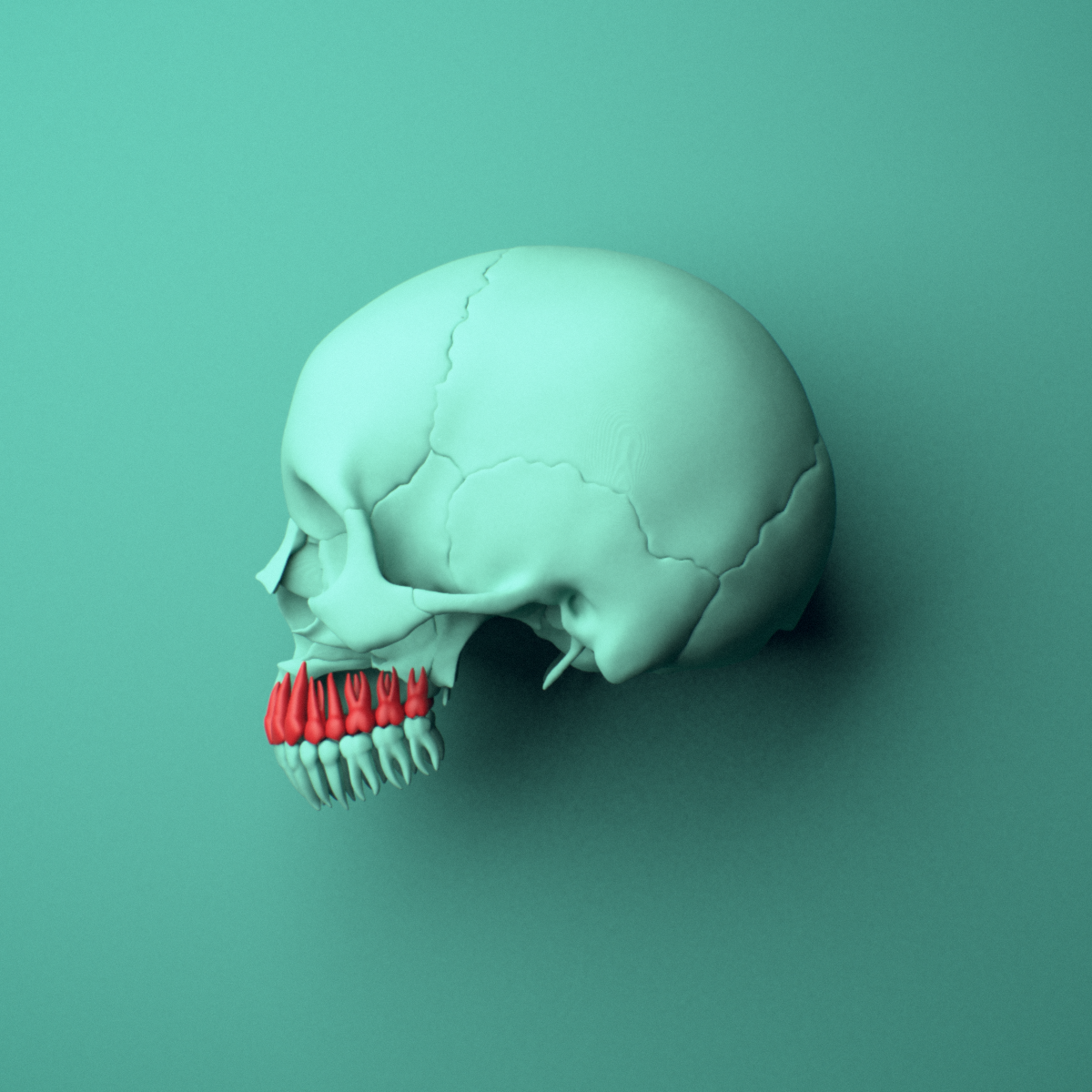 3D model of the Maxillary teeth (upper jaw) shown in position within a full skull model, left lateral view.