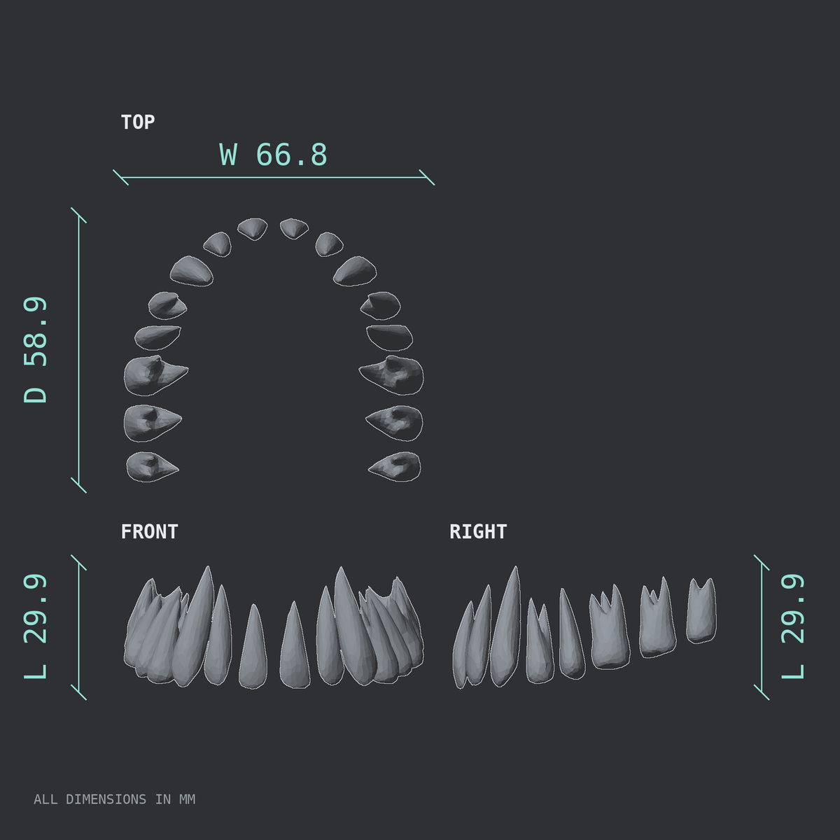 3D rendered dimensional drawing of the Maxillary teeth (upper jaw), top, front, and side views.