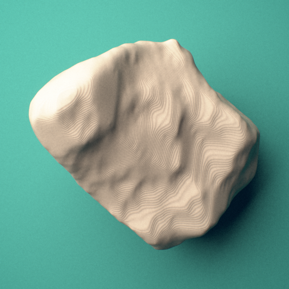 3D-printed Left medial cuneiform (foot), oblique view showing the wedge-shaped body.