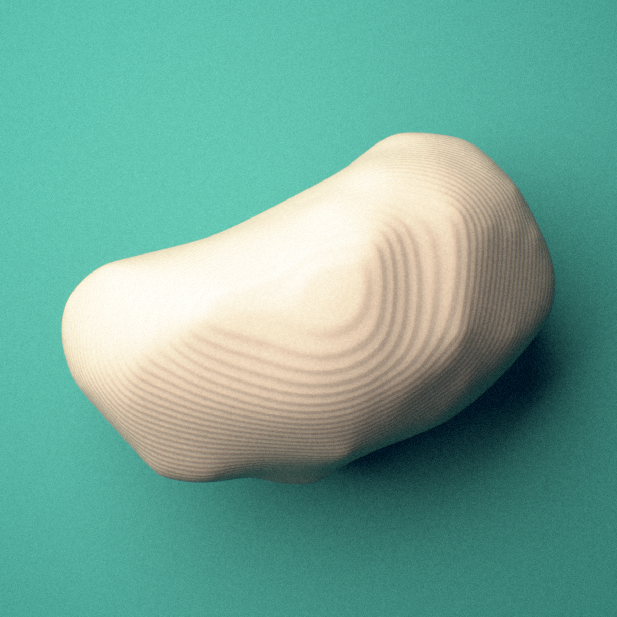 3D-printed Left medial tibial sesamoid bone (foot), oblique view showing the smooth plantar surface.