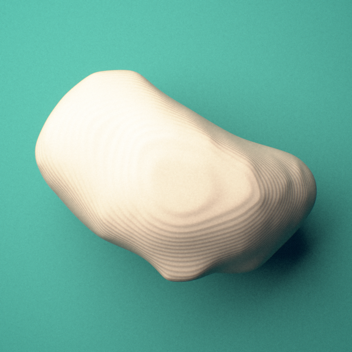 3D-printed Left medial tibial sesamoid bone (foot), oblique view showing the superior articular facet.