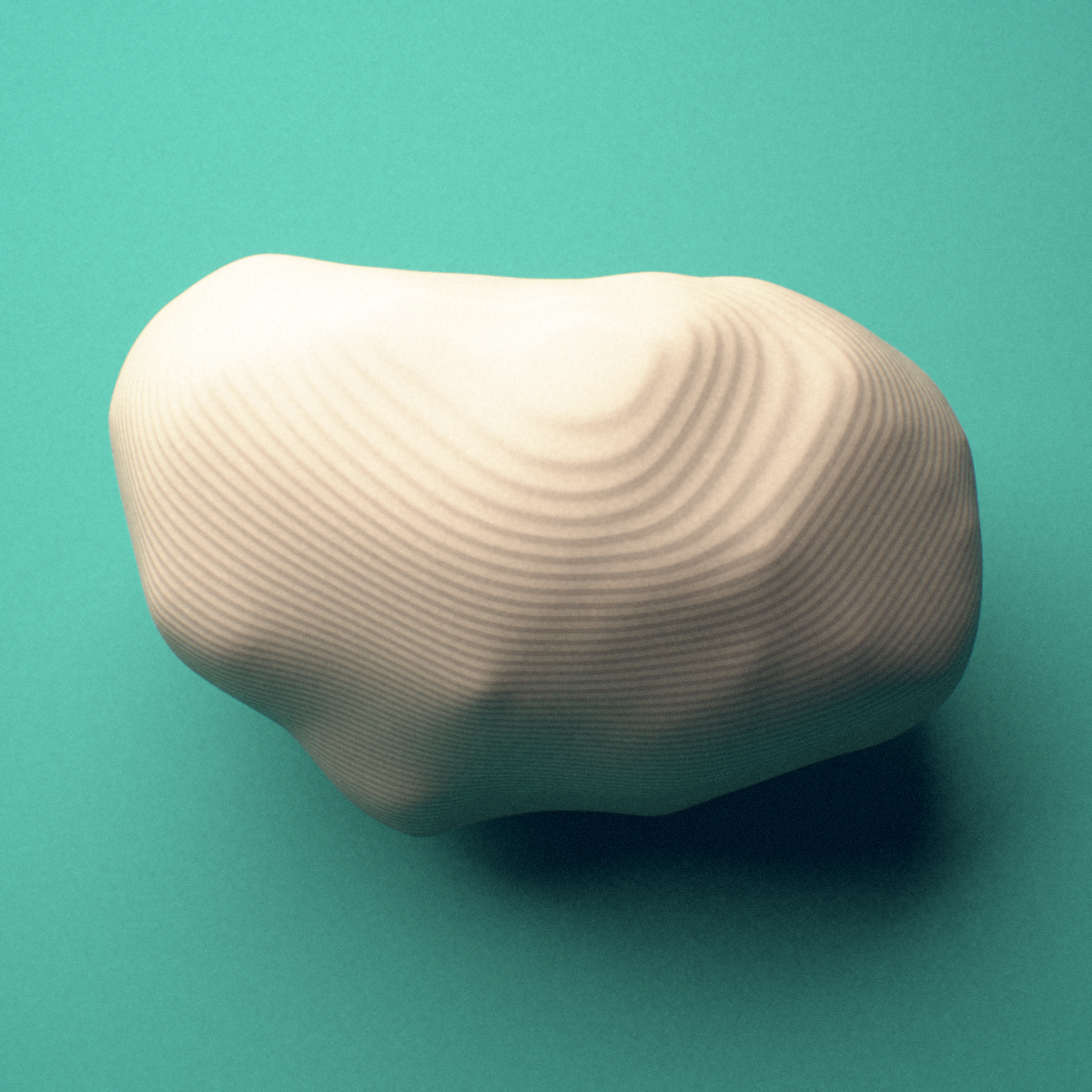 3D-printed Left medial tibial sesamoid bone (foot), lateral view showing the oval profile.