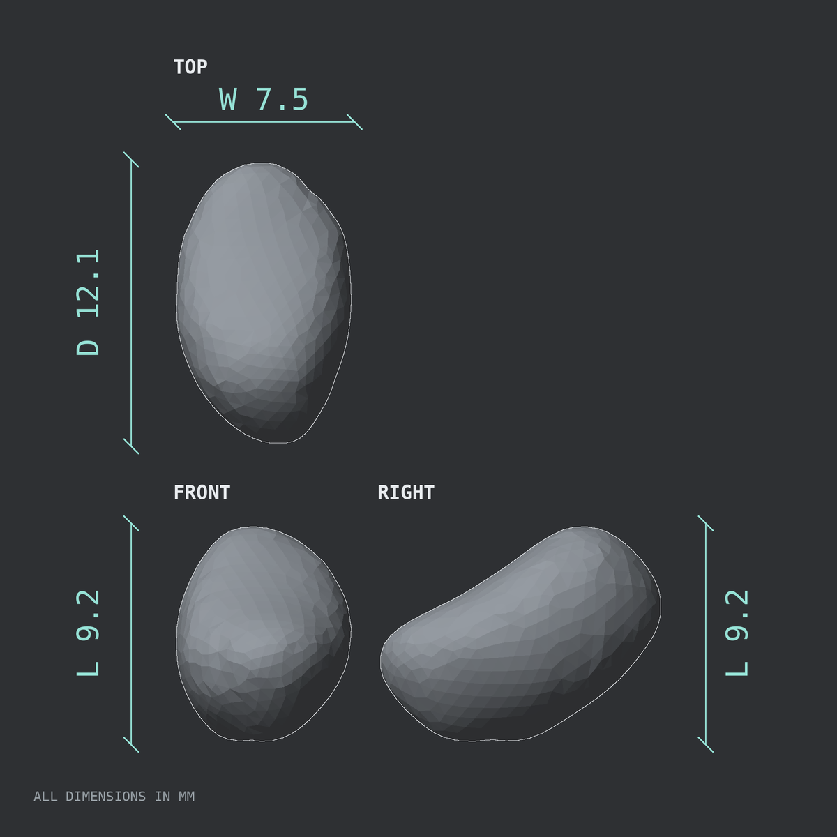 3D rendered dimensional drawing of the Left medial tibial sesamoid bone (foot), top, front, and side views.