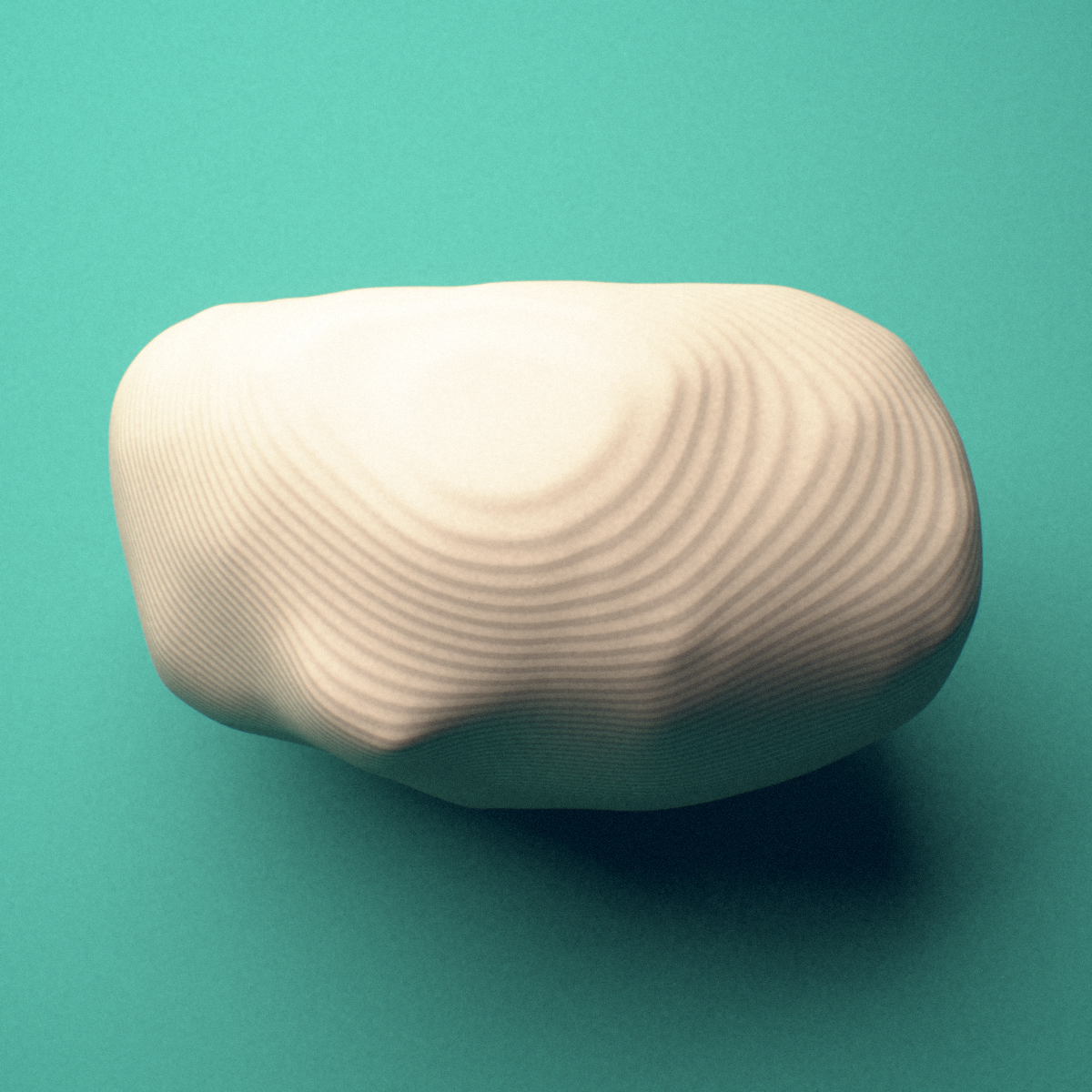 3D-printed Right medial tibial sesamoid bone (foot), lateral view showing the oval profile.