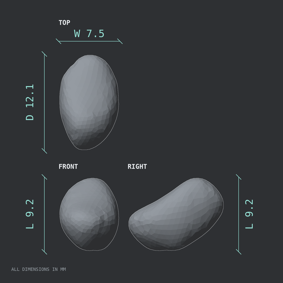 3D rendered dimensional drawing of the Right medial tibial sesamoid bone (foot), top, front, and side views.