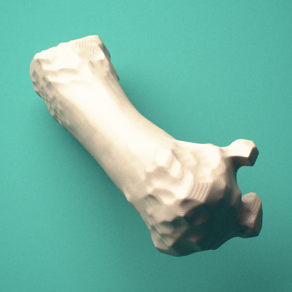 3D-printed Left first metacarpal (hand), close-up view showing the head.
