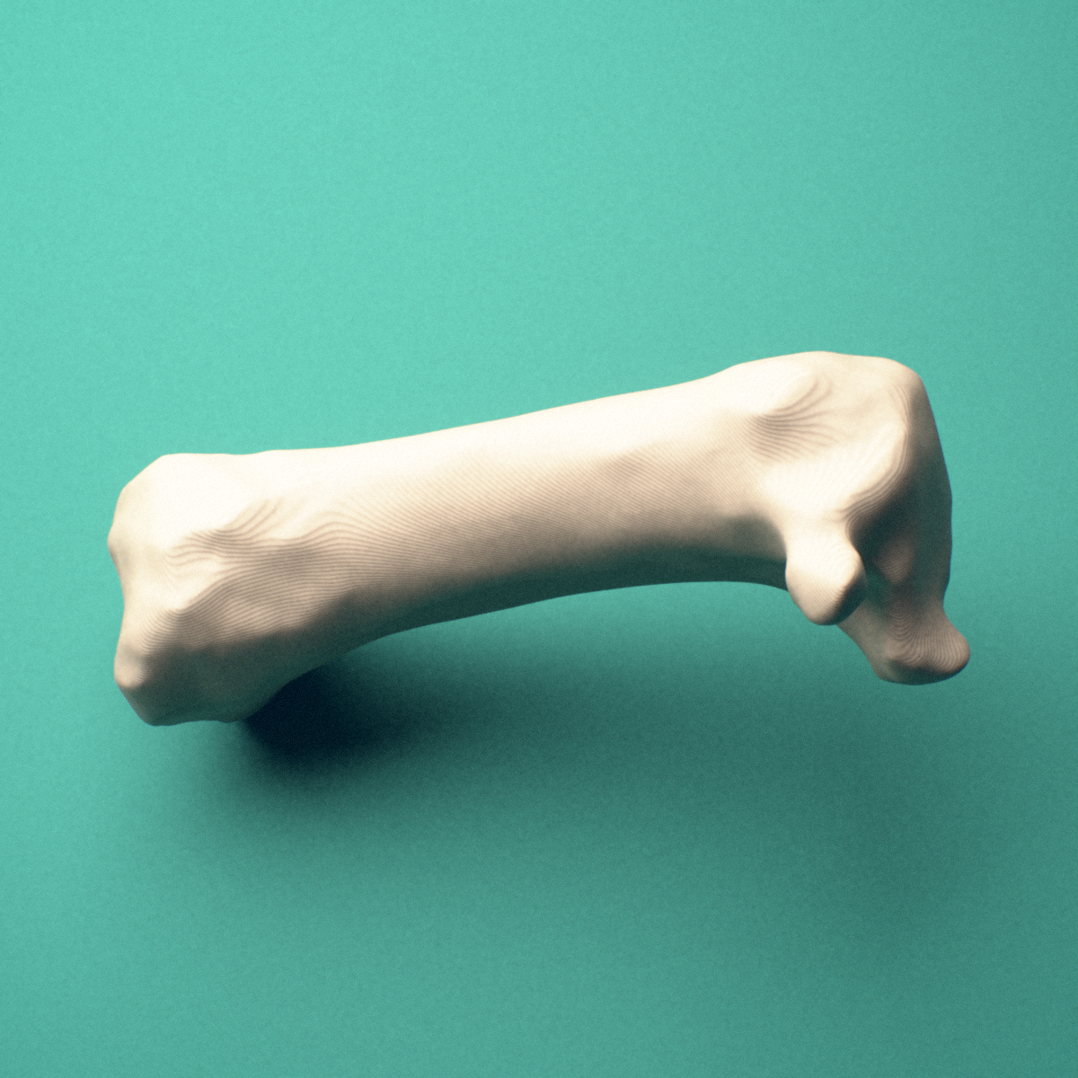 3D-printed Right first metacarpal (hand), close-up view showing the head.