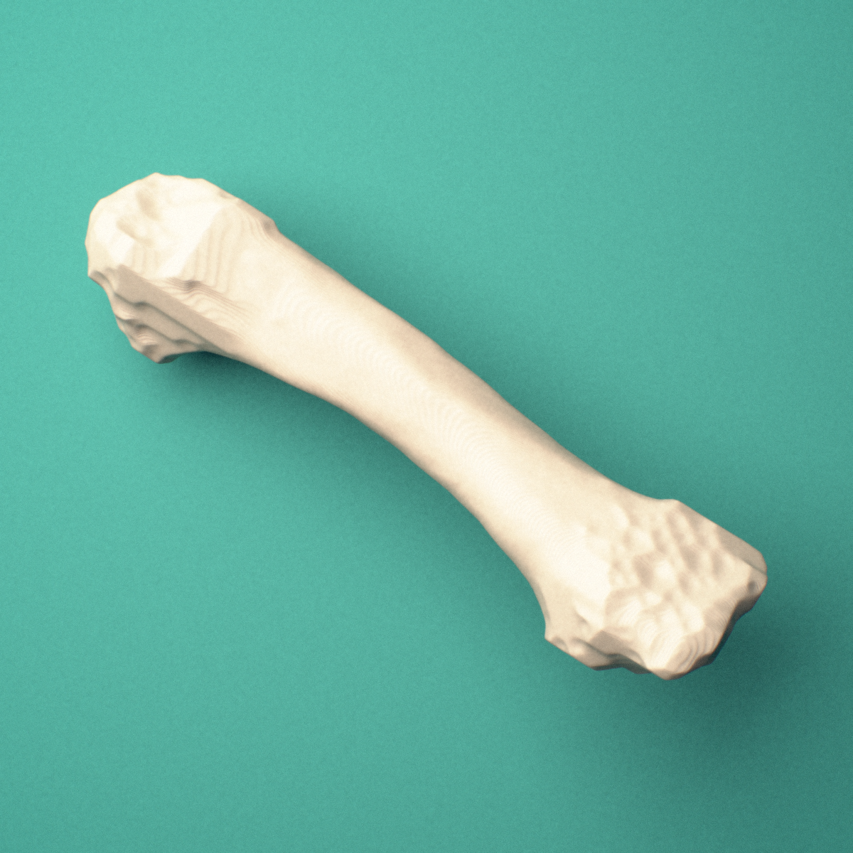 3D-printed Left second metacarpal (hand), oblique view showing the base and head.
