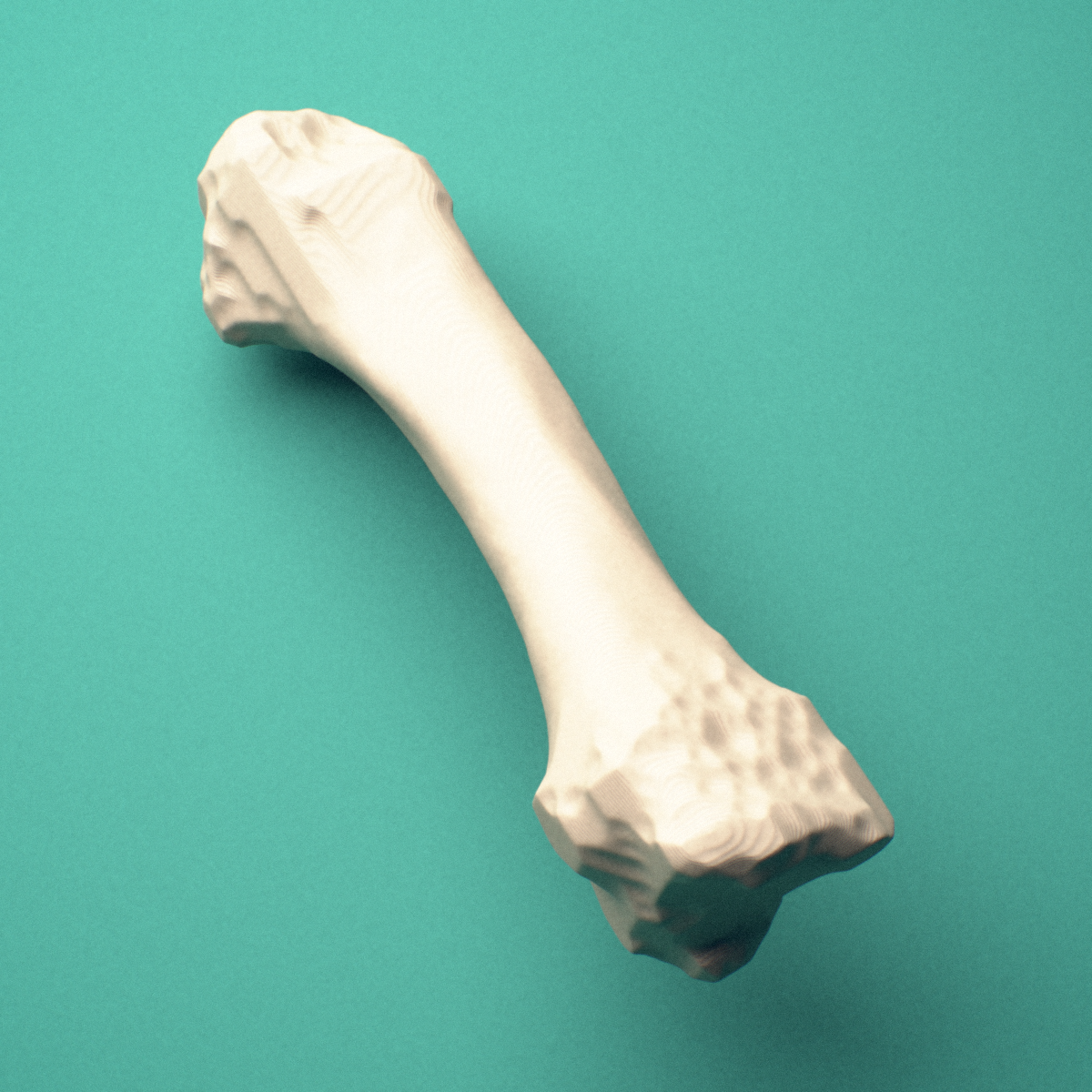 3D-printed Left second metacarpal (hand), close-up view showing the head.
