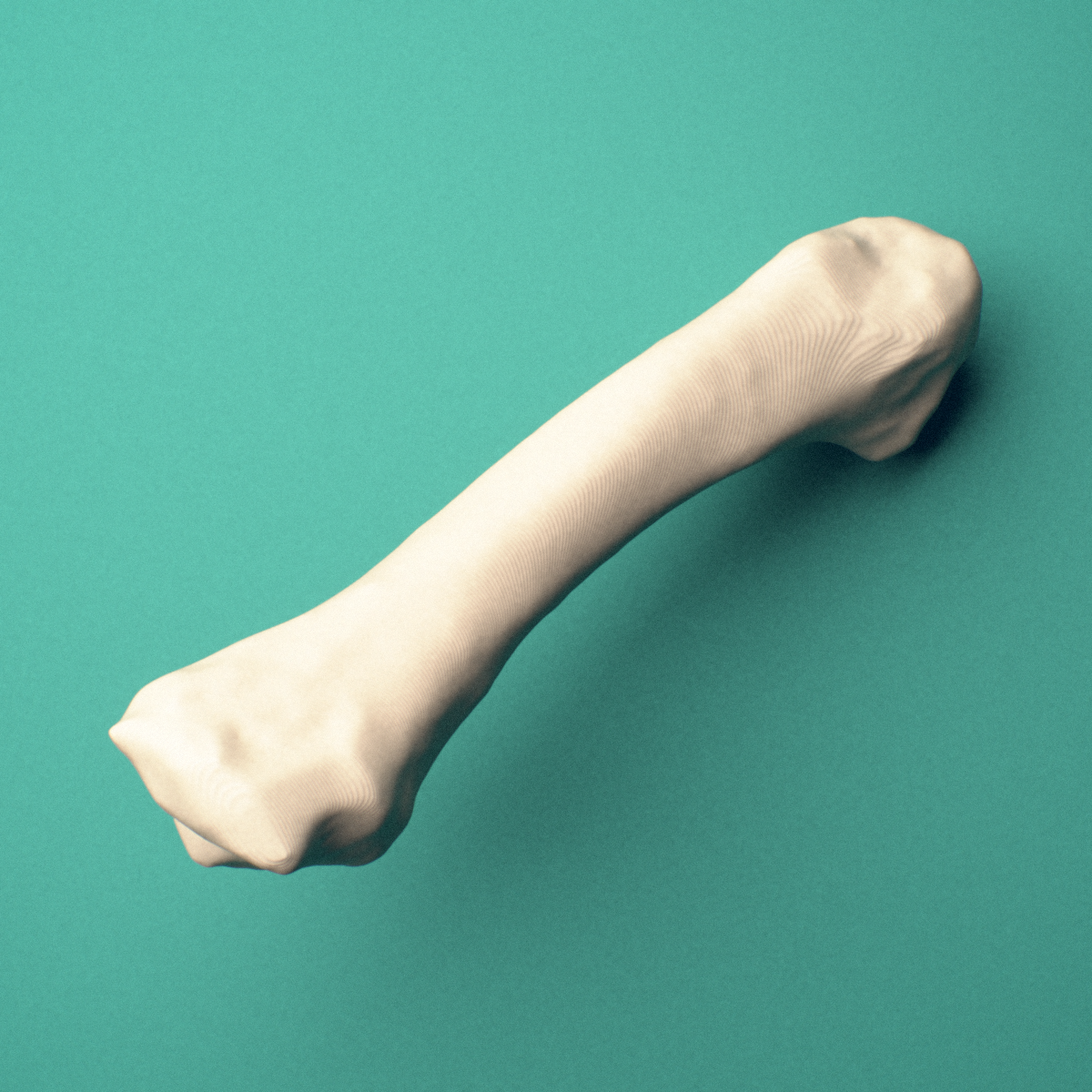 3D-printed Right second metacarpal (hand), close-up view showing the base.