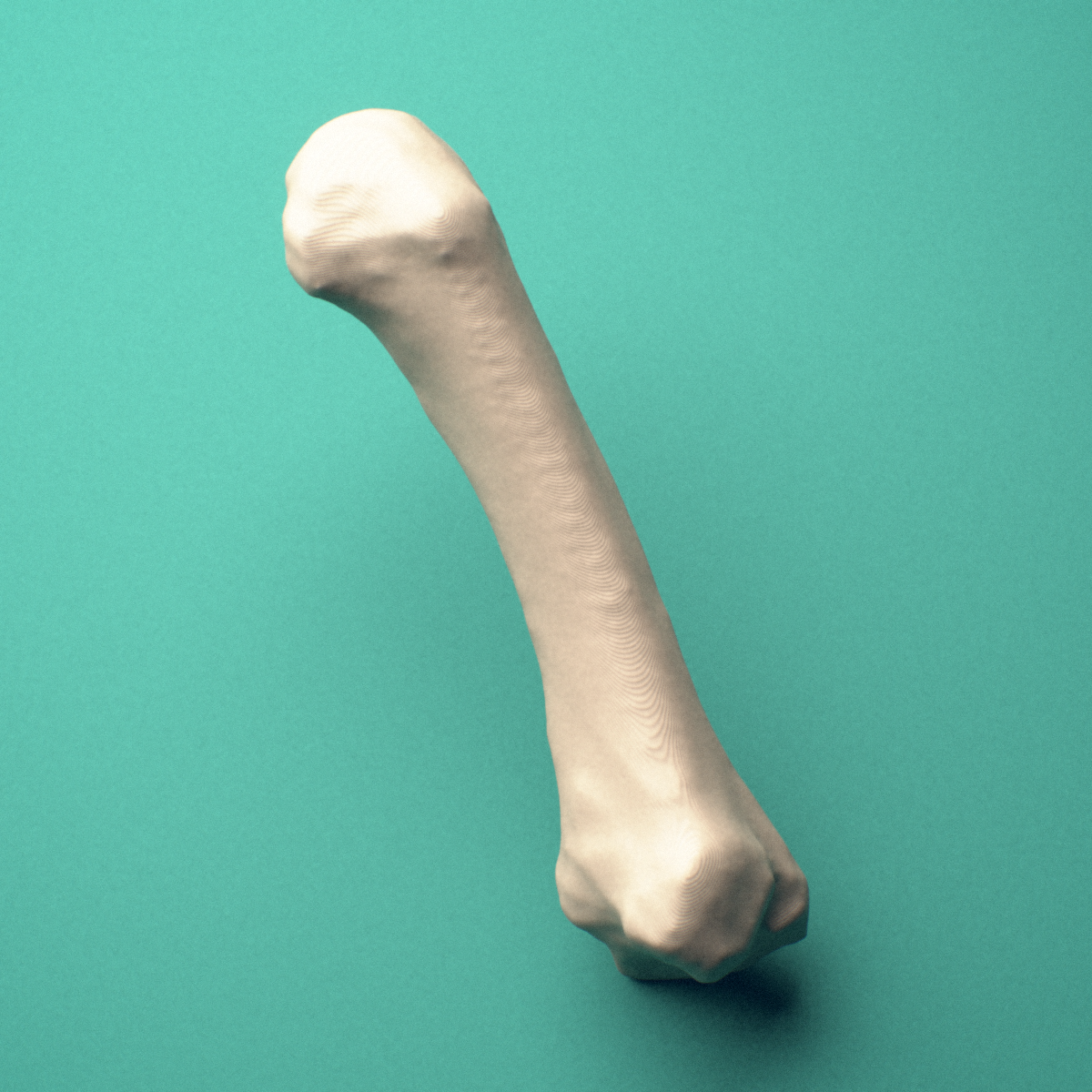 3D-printed Right second metacarpal (hand), close-up view showing the head.