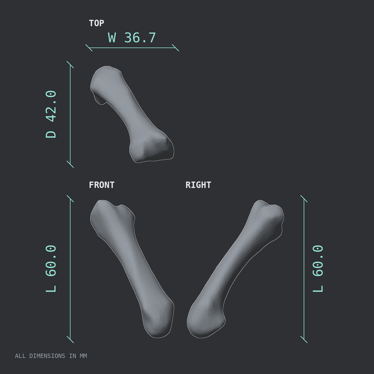 3D rendered dimensional drawing of the Right second metacarpal (hand), top, front, and side views.