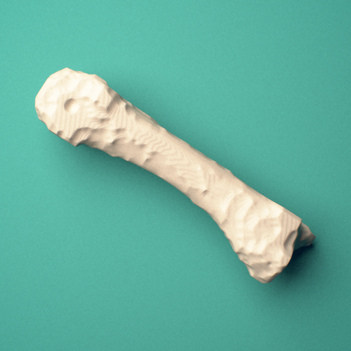 3D-printed Left third metacarpal (hand), oblique view showing the base and head.