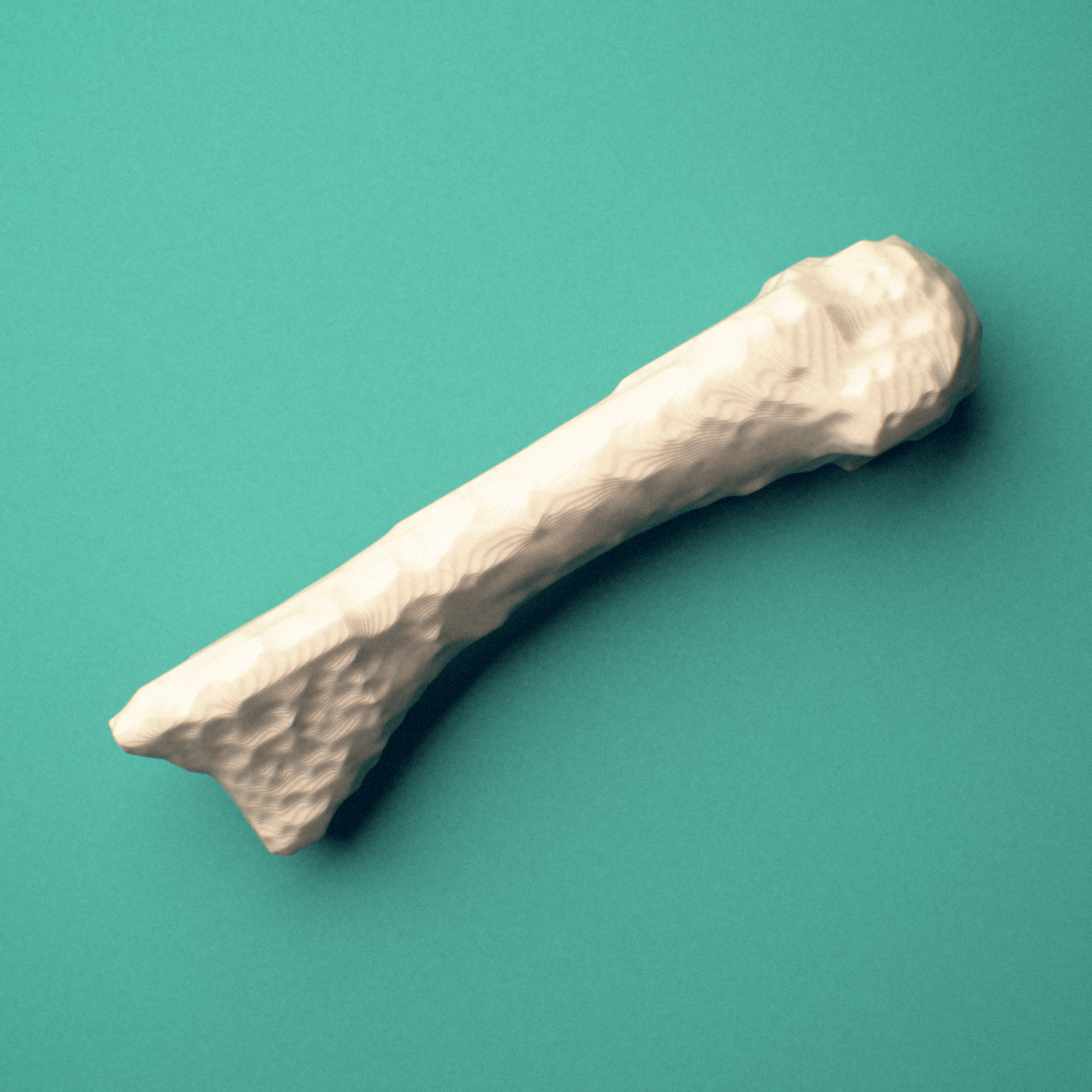 3D-printed Left third metacarpal (hand), close-up view showing the base.