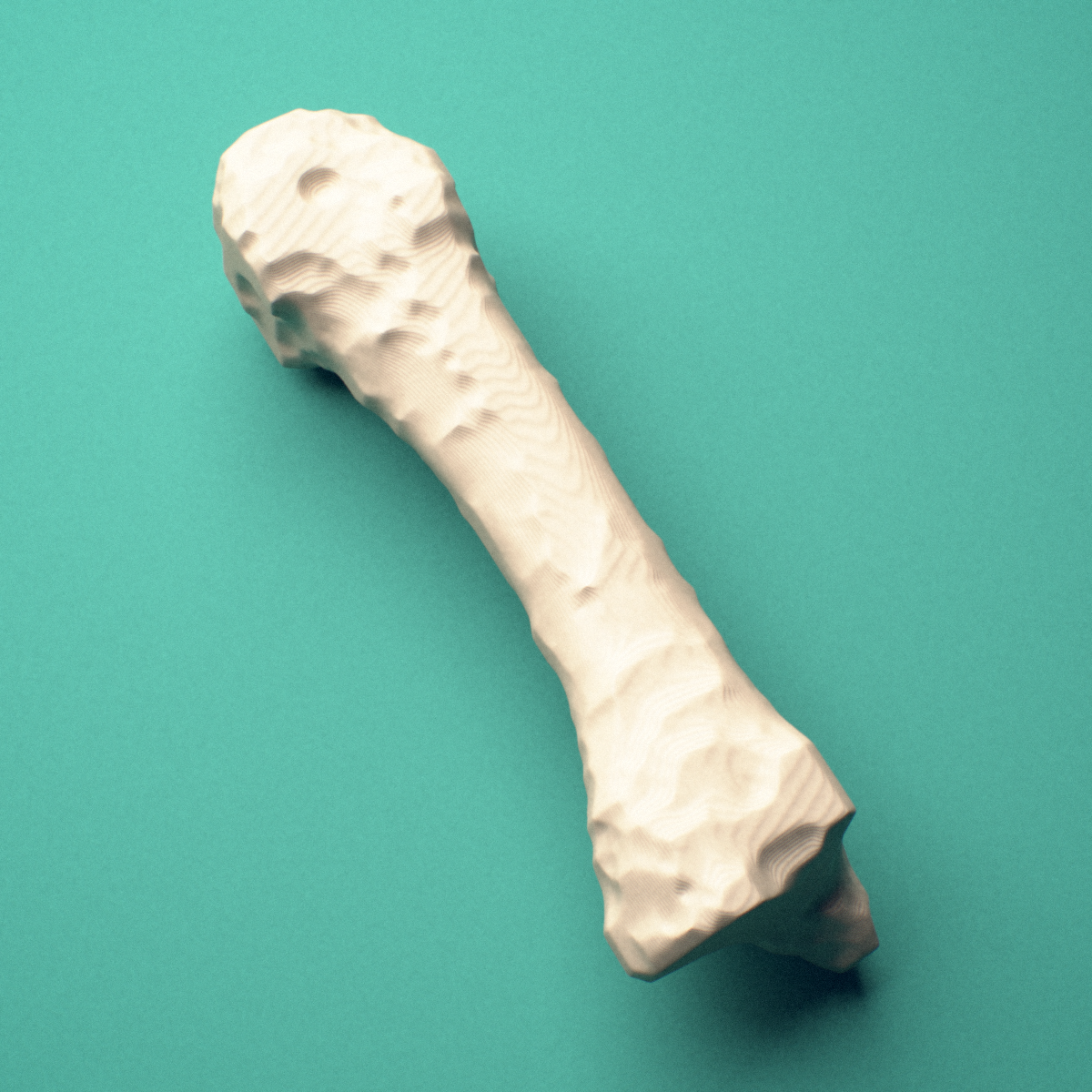 3D-printed Left third metacarpal (hand), close-up view showing the head.