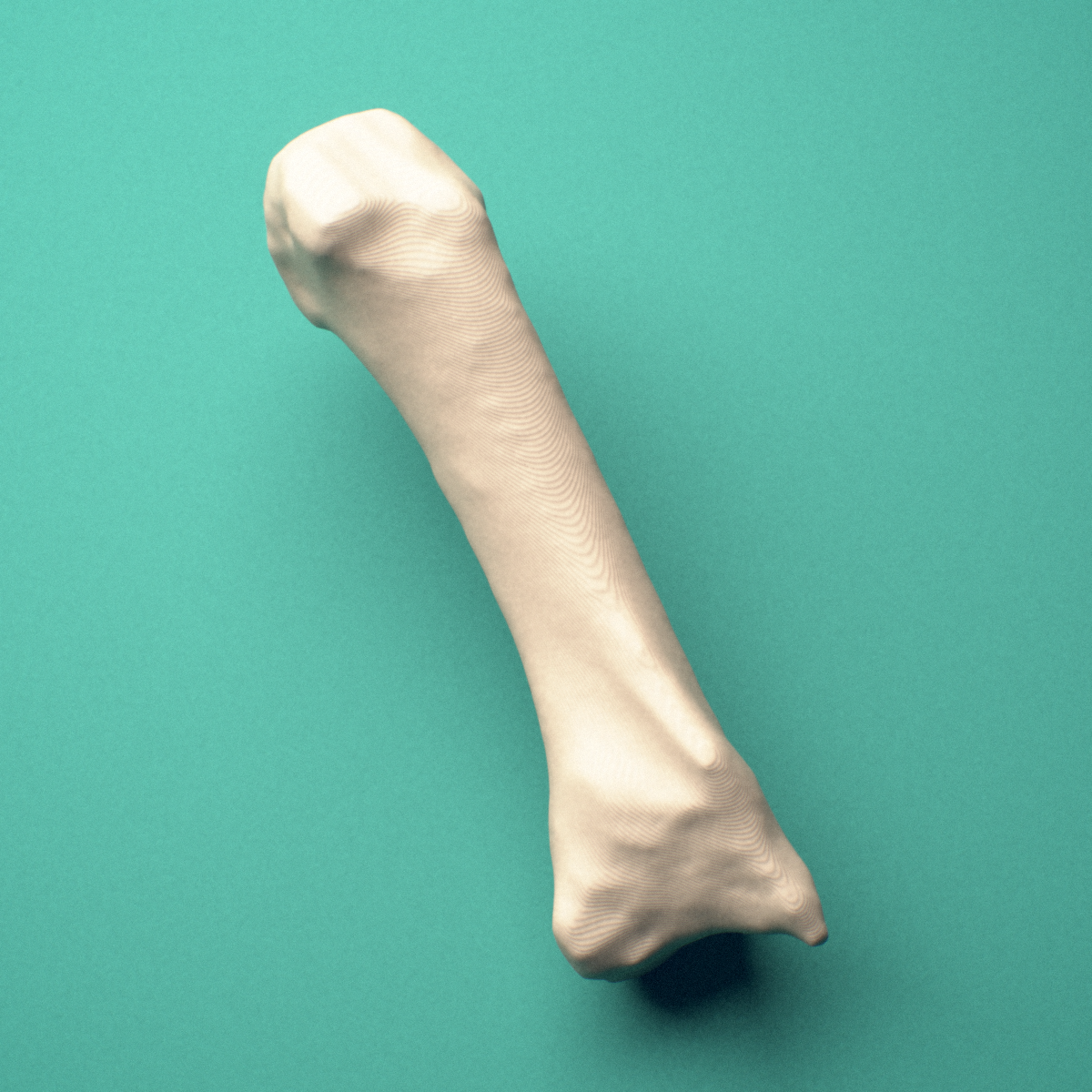 3D-printed Right third metacarpal (hand), close-up view showing the head.