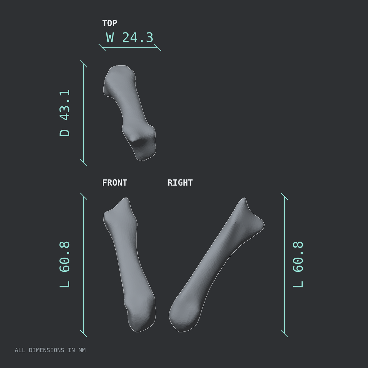 3D rendered dimensional drawing of the Right third metacarpal (hand), top, front, and side views.