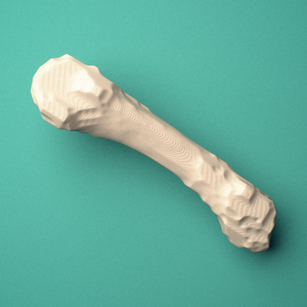 3D-printed Left fourth metacarpal (hand), oblique view showing the base and head.