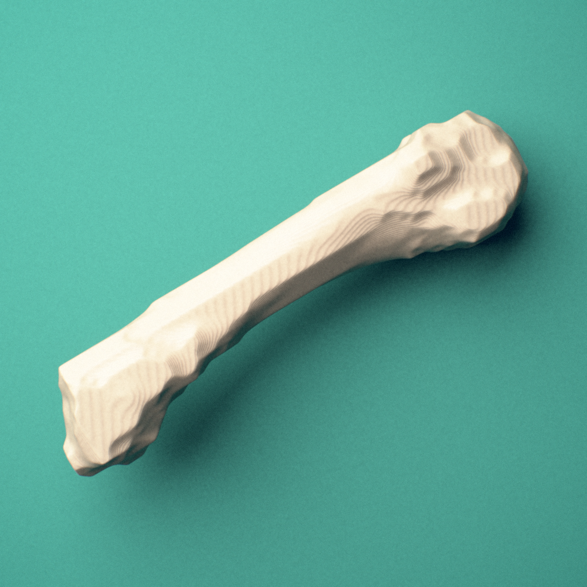 3D-printed Left fourth metacarpal (hand), close-up view showing the base.