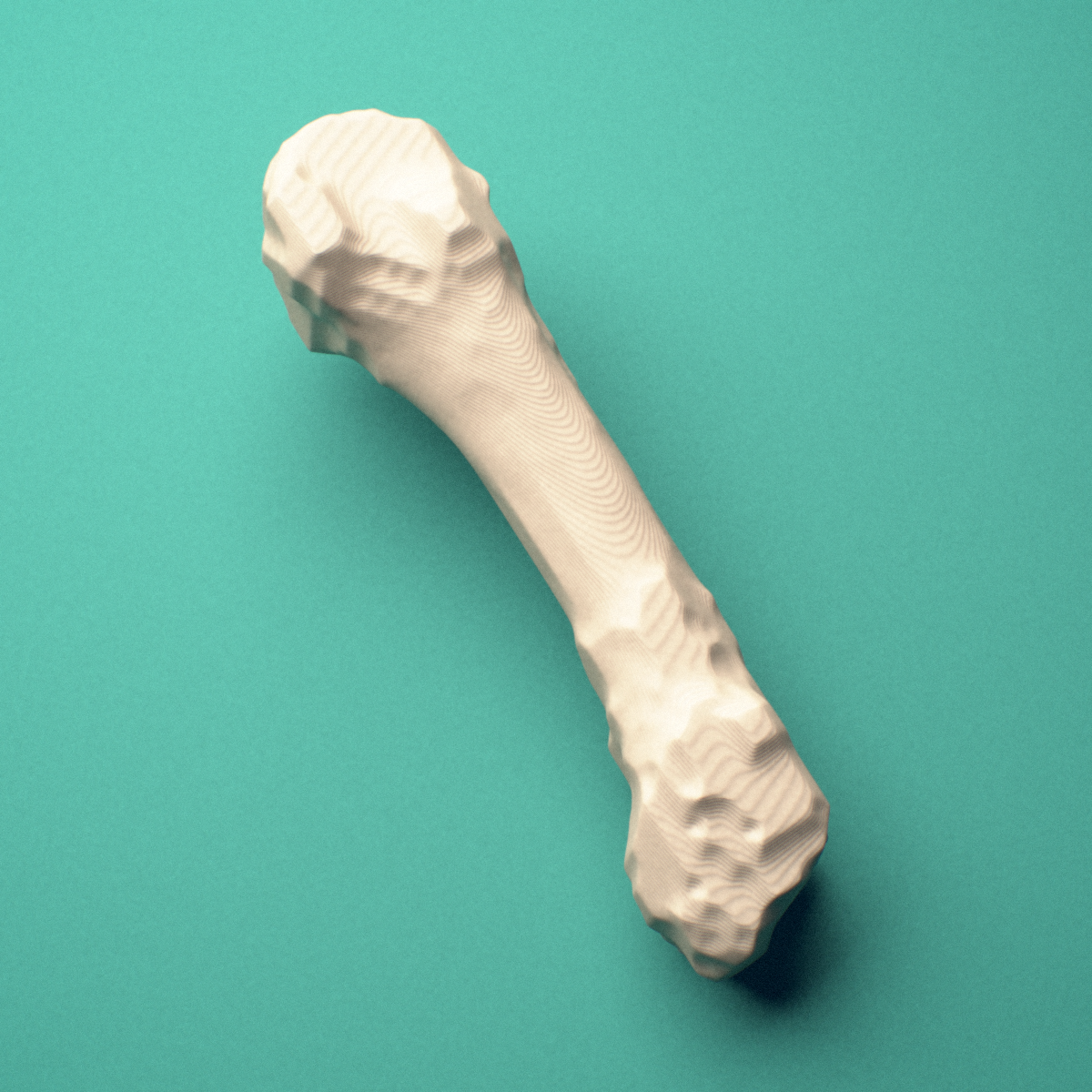 3D-printed Left fourth metacarpal (hand), close-up view showing the head.