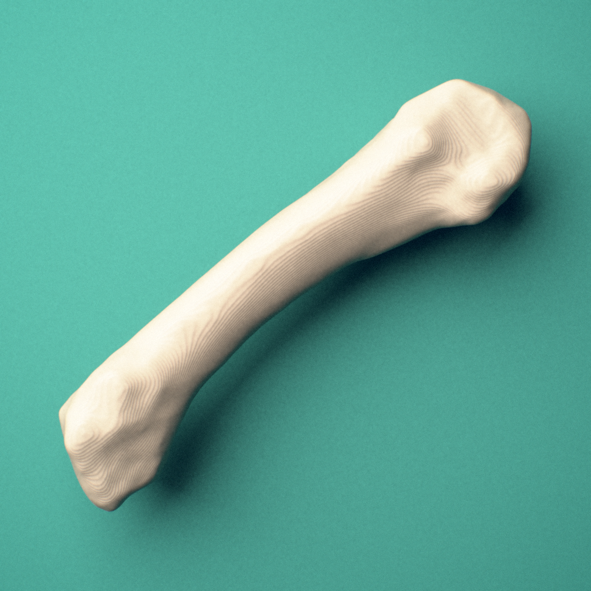 3D-printed Right fourth metacarpal (hand), close-up view showing the base.