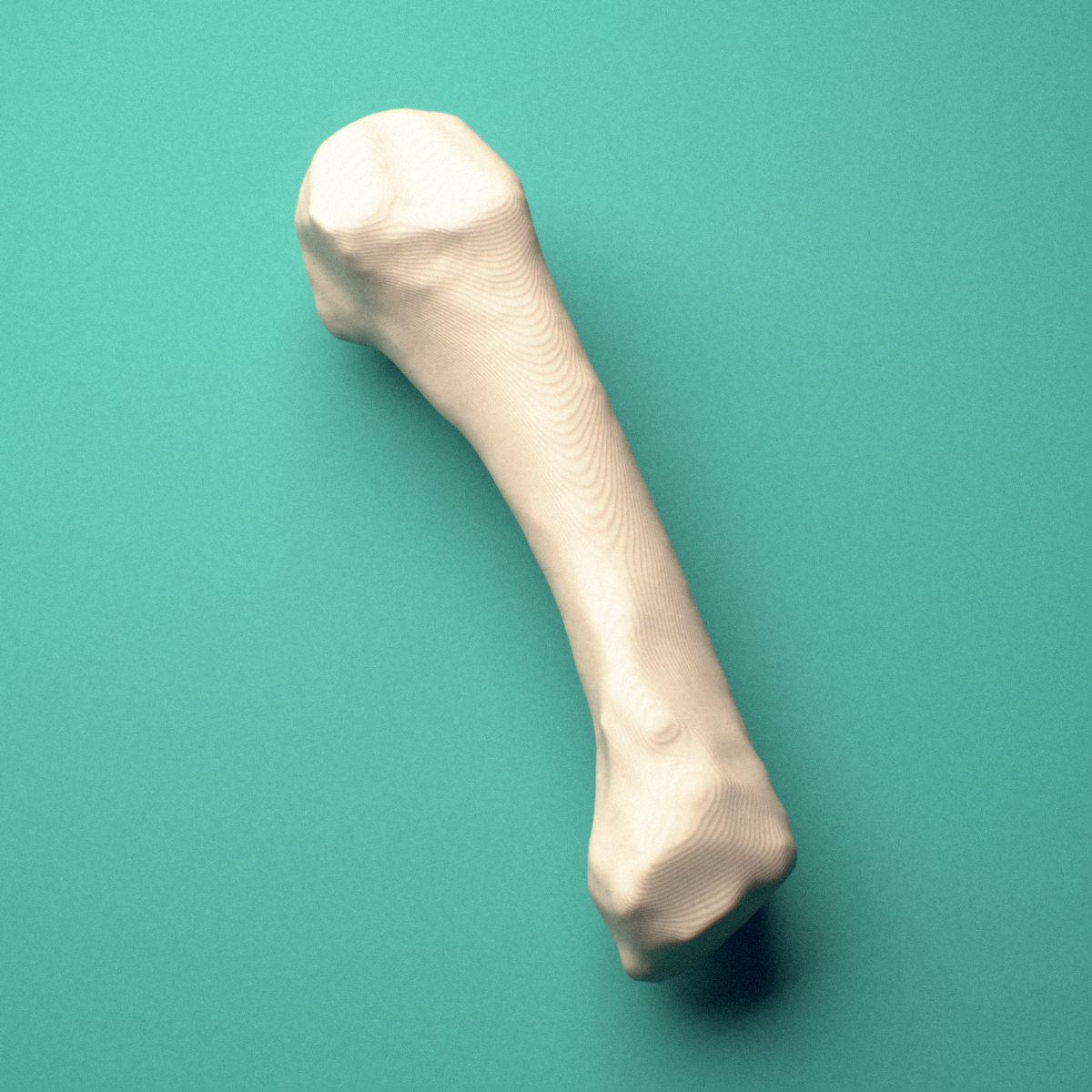 3D-printed Right fourth metacarpal (hand), close-up view showing the head.