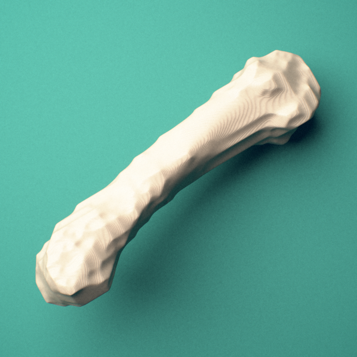 3D-printed Left fifth metacarpal (hand), close-up view showing the base.