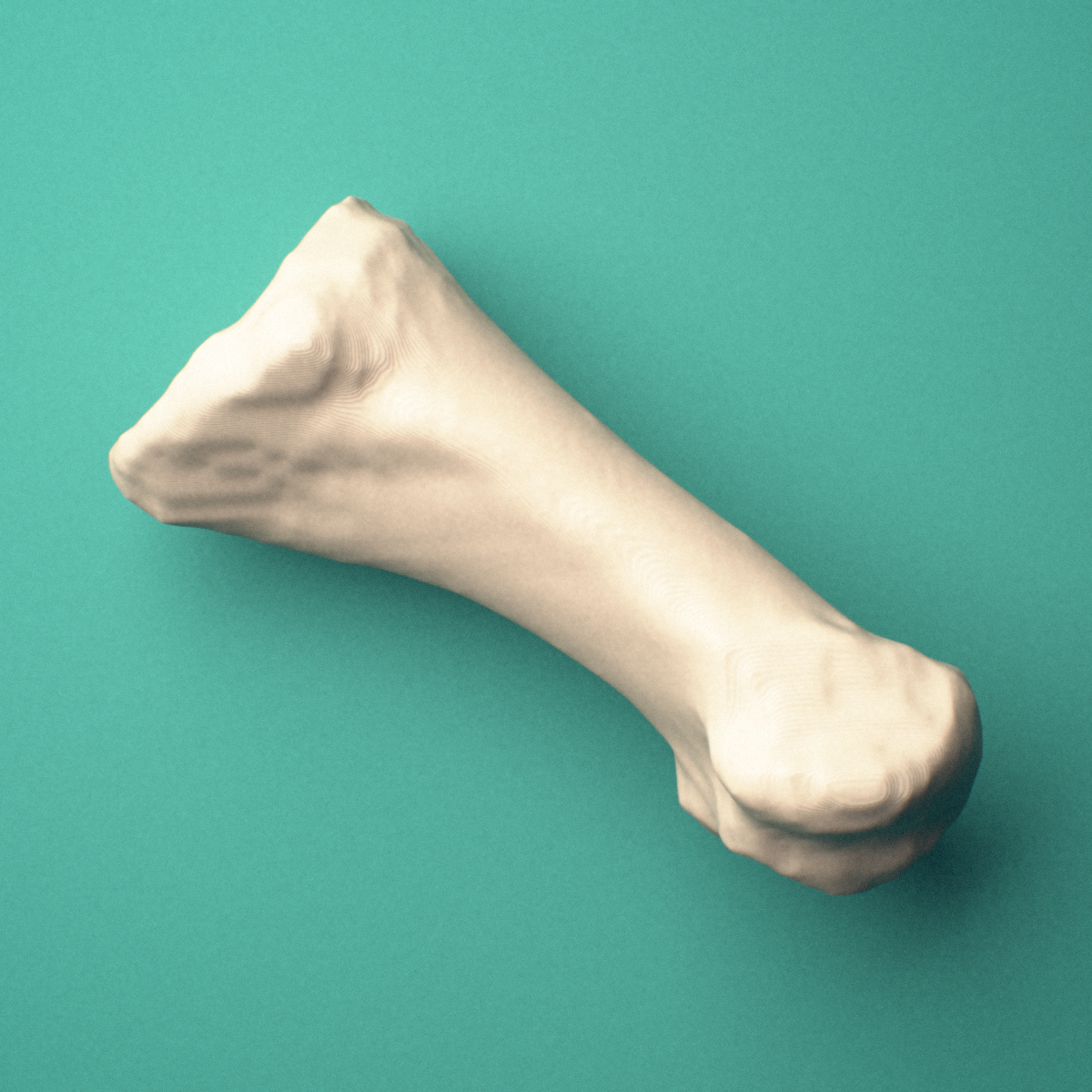 3D-printed Left first metatarsal (foot), close-up view showing the base.