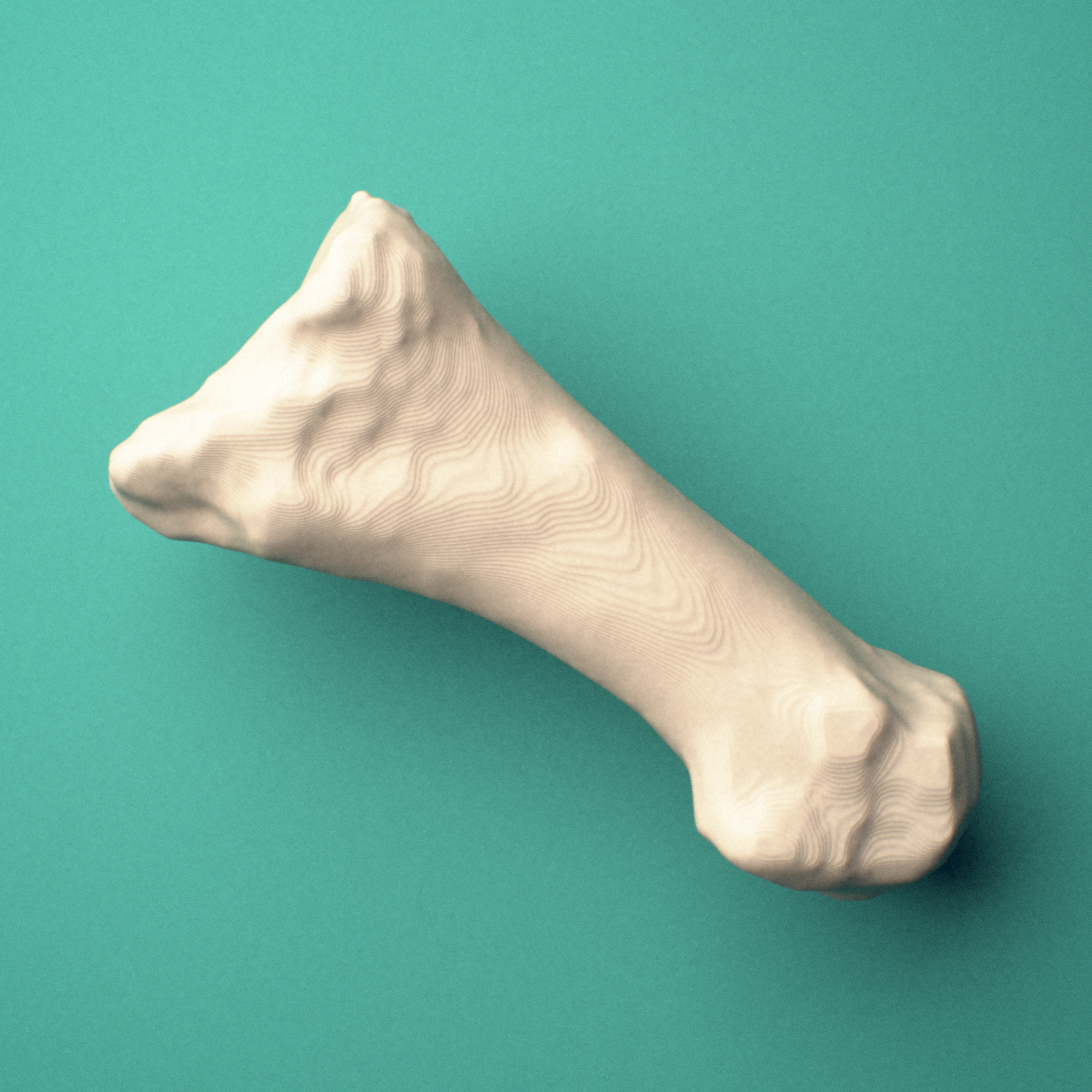 3D-printed Right first metatarsal (foot), close-up view showing the base.