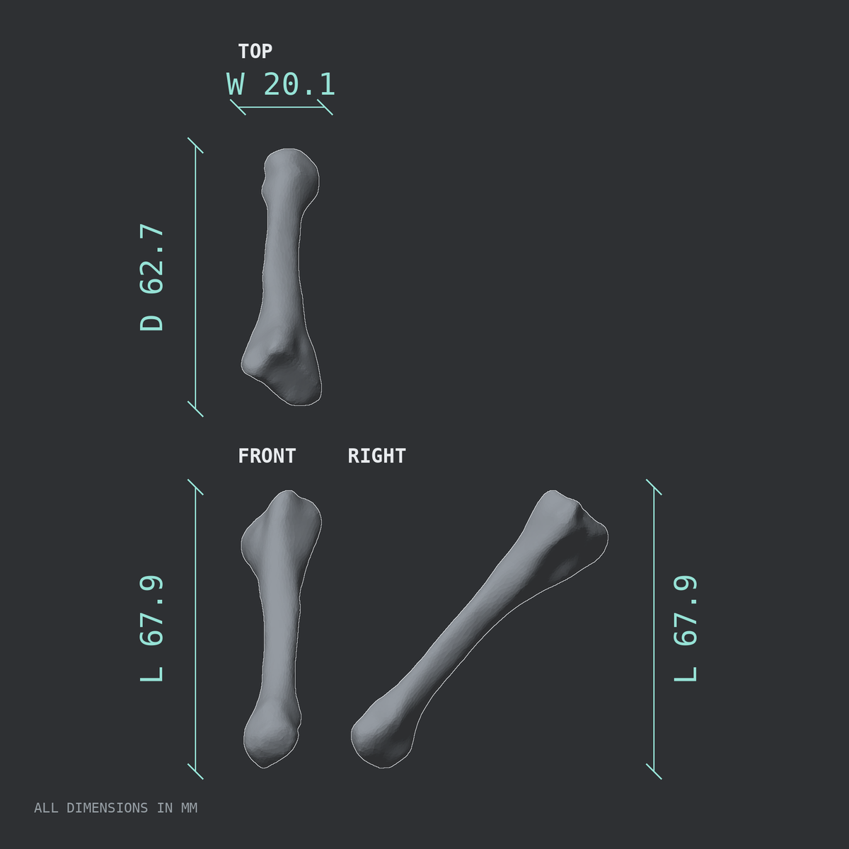 3D rendered dimensional drawing of the Left second metatarsal (foot), top, front, and side views.