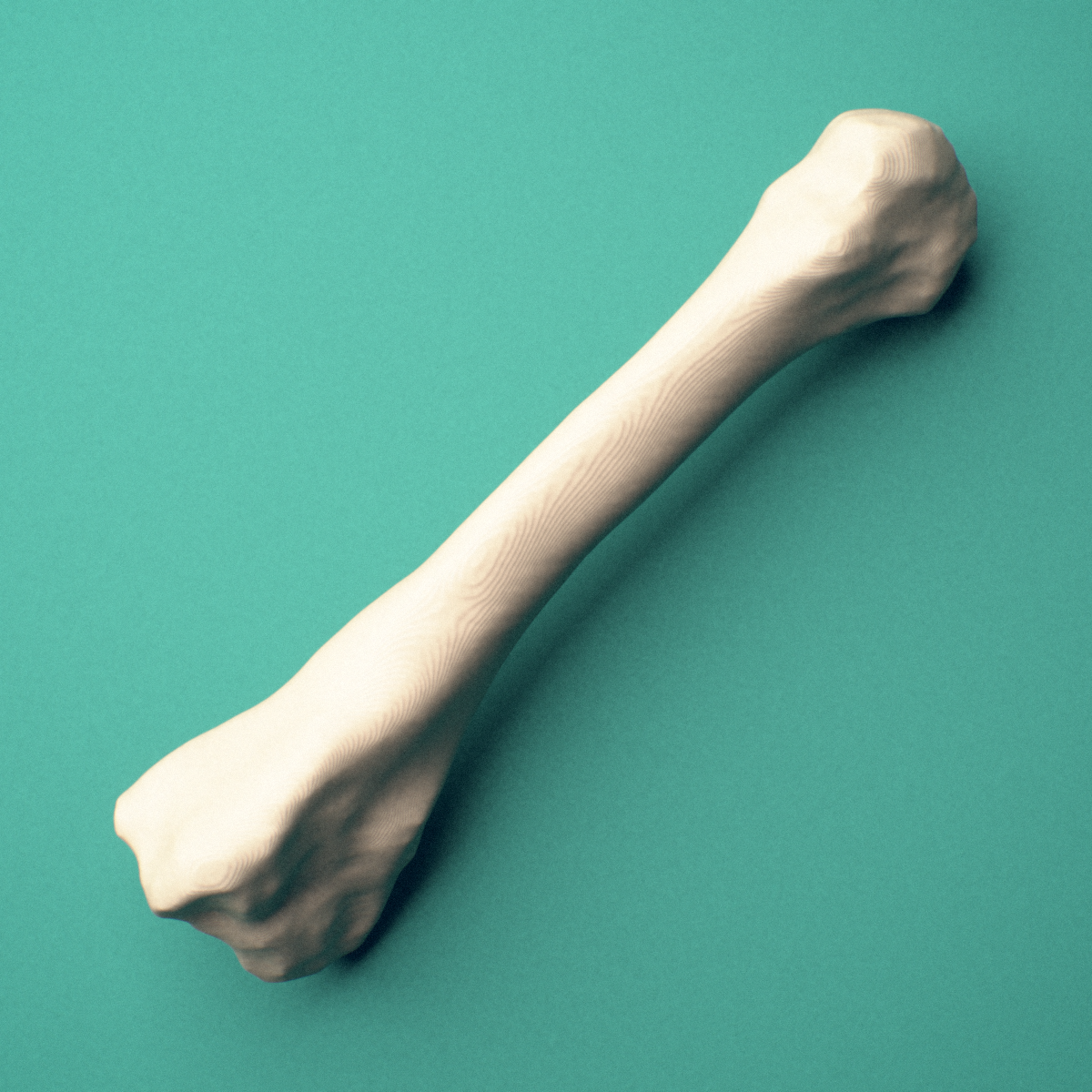 3D-printed Right second metatarsal (foot), close-up view showing the base.