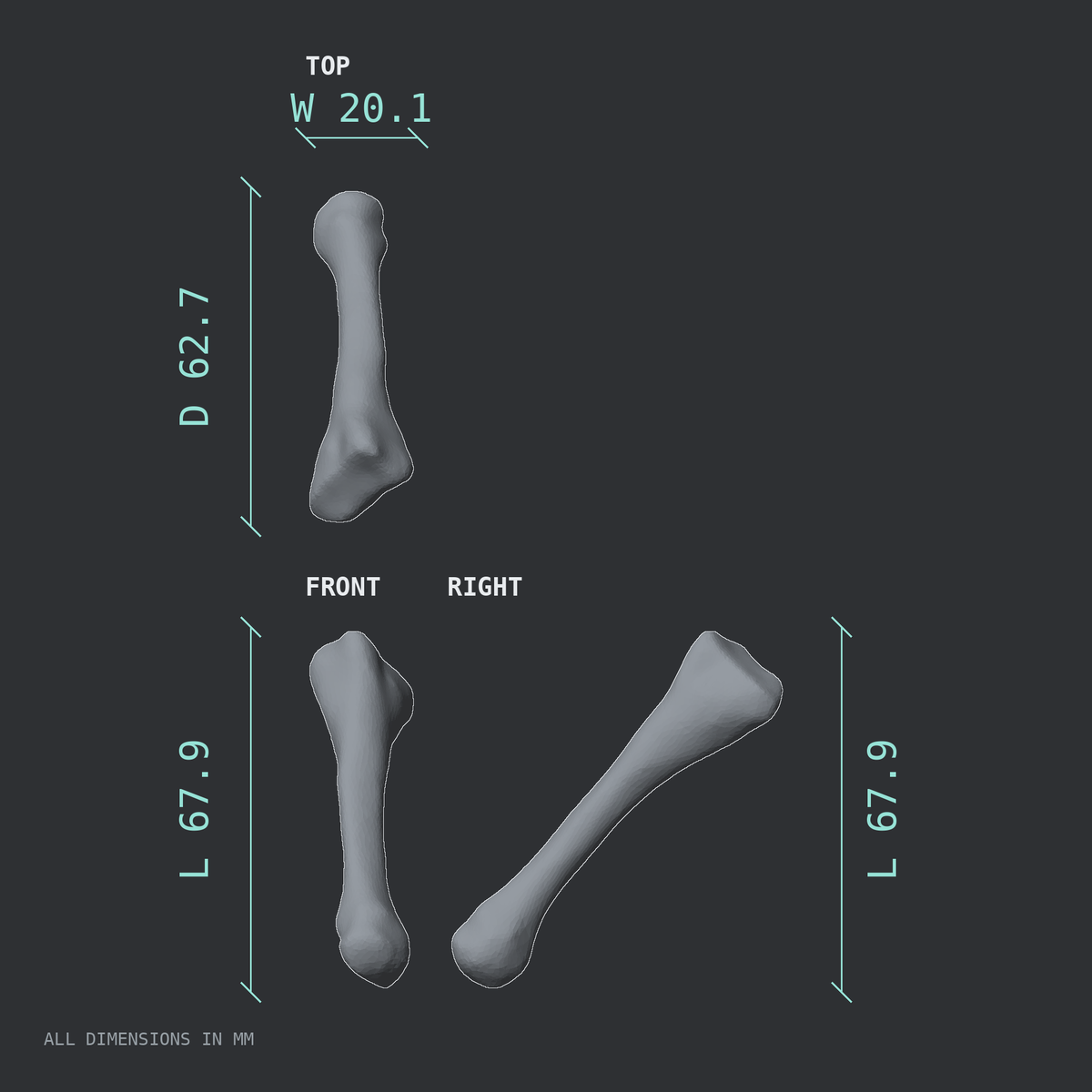 3D rendered dimensional drawing of the Right second metatarsal (foot), top, front, and side views.