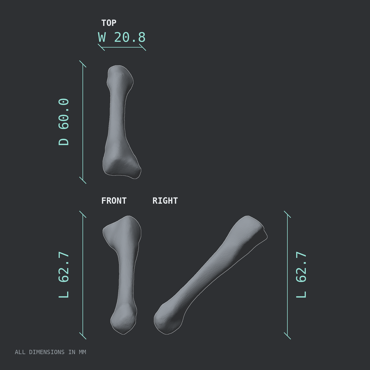 3D rendered dimensional drawing of the Left third metatarsal (foot), top, front, and side views.