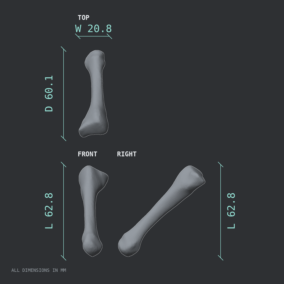 3D rendered dimensional drawing of the Right third metatarsal (foot), top, front, and side views.
