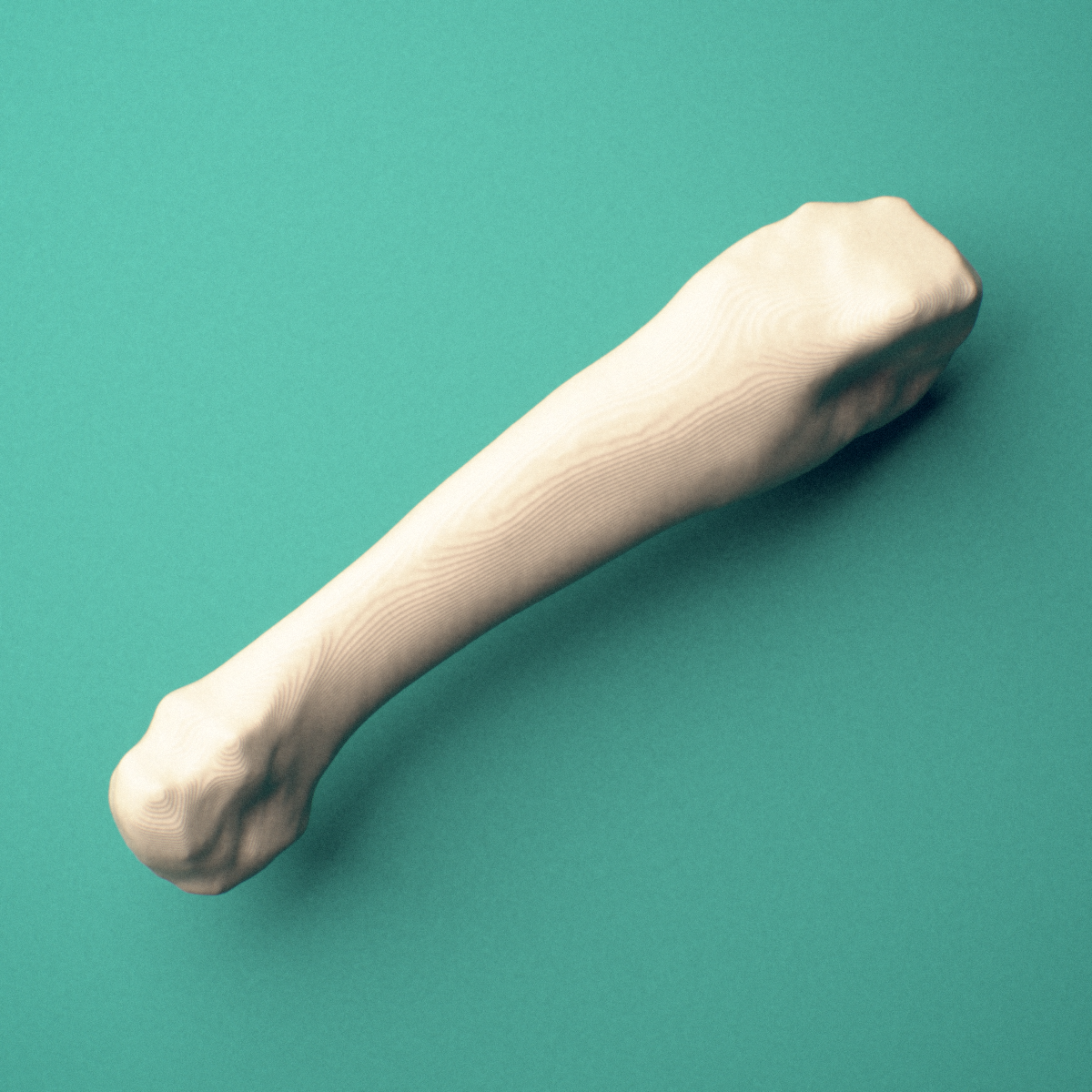 3D-printed Left fourth metatarsal (foot), oblique view showing the base and head.