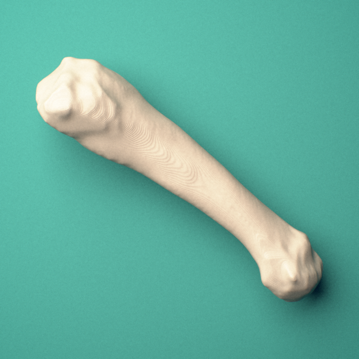 3D-printed Left fourth metatarsal (foot), close-up view showing the base.