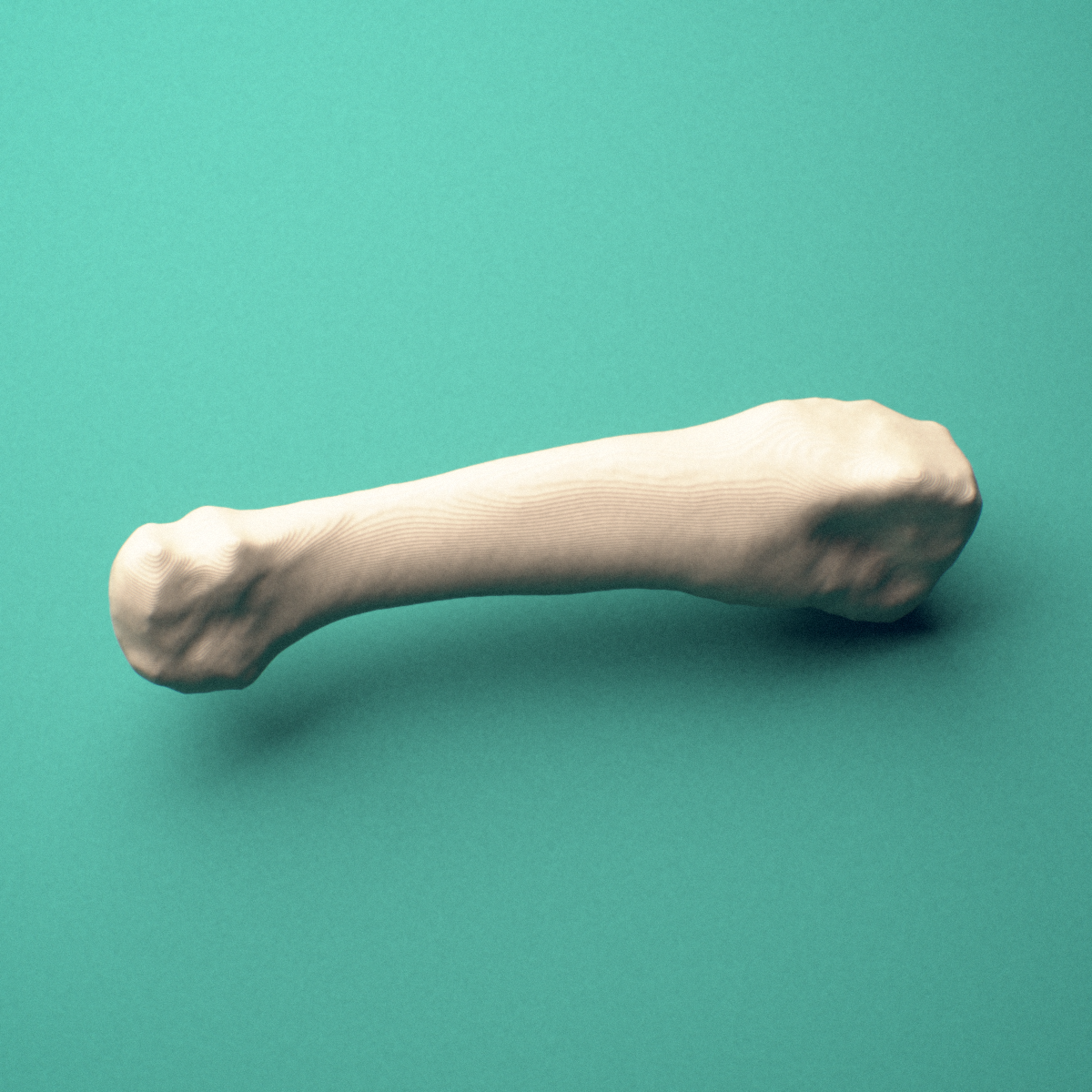 3D-printed Left fourth metatarsal (foot), close-up view showing the head.