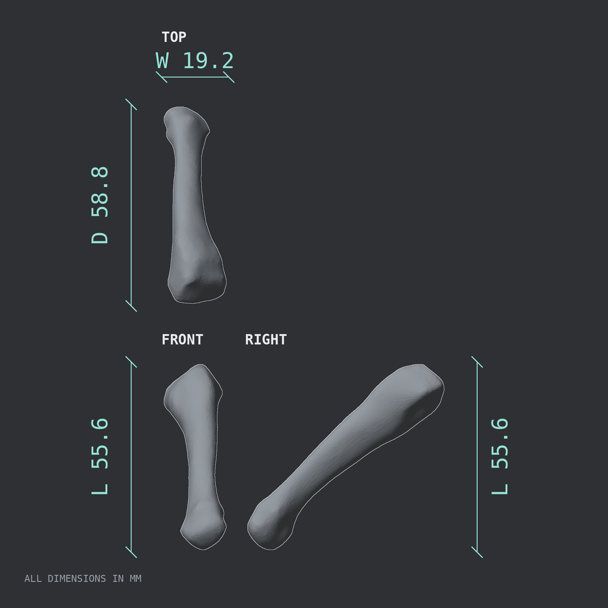 3D rendered dimensional drawing of the Left fourth metatarsal (foot), top, front, and side views.
