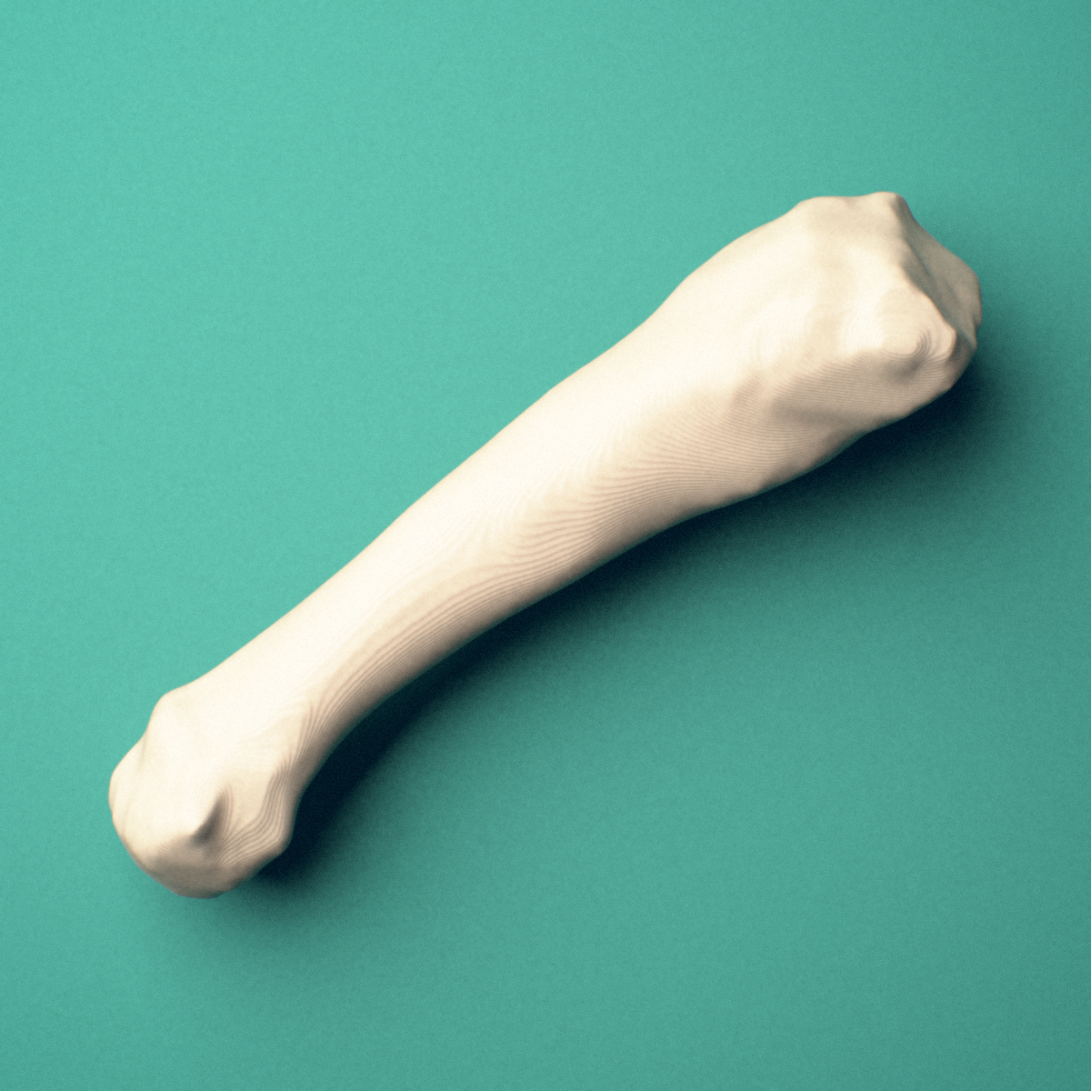 3D-printed Right fourth metatarsal (foot), oblique view showing the base and head.