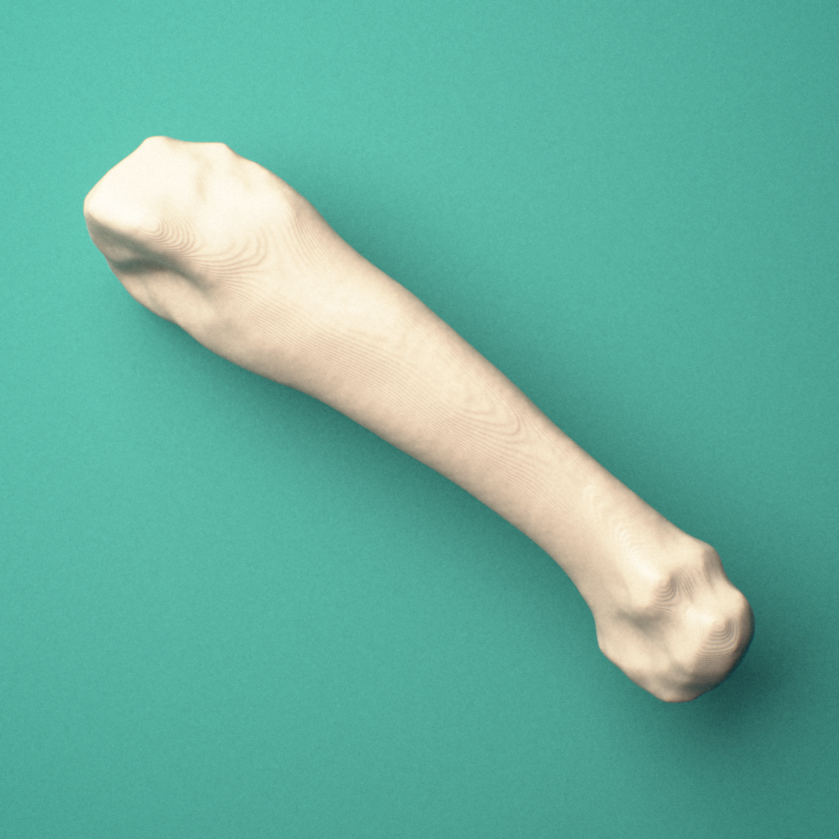 3D-printed Right fourth metatarsal (foot), close-up view showing the base.